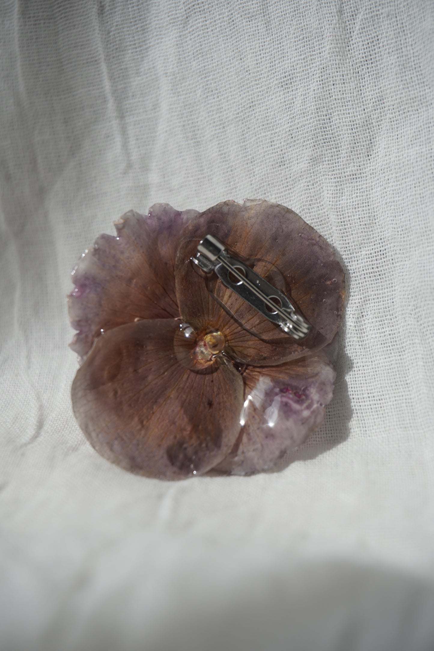 Broche bego