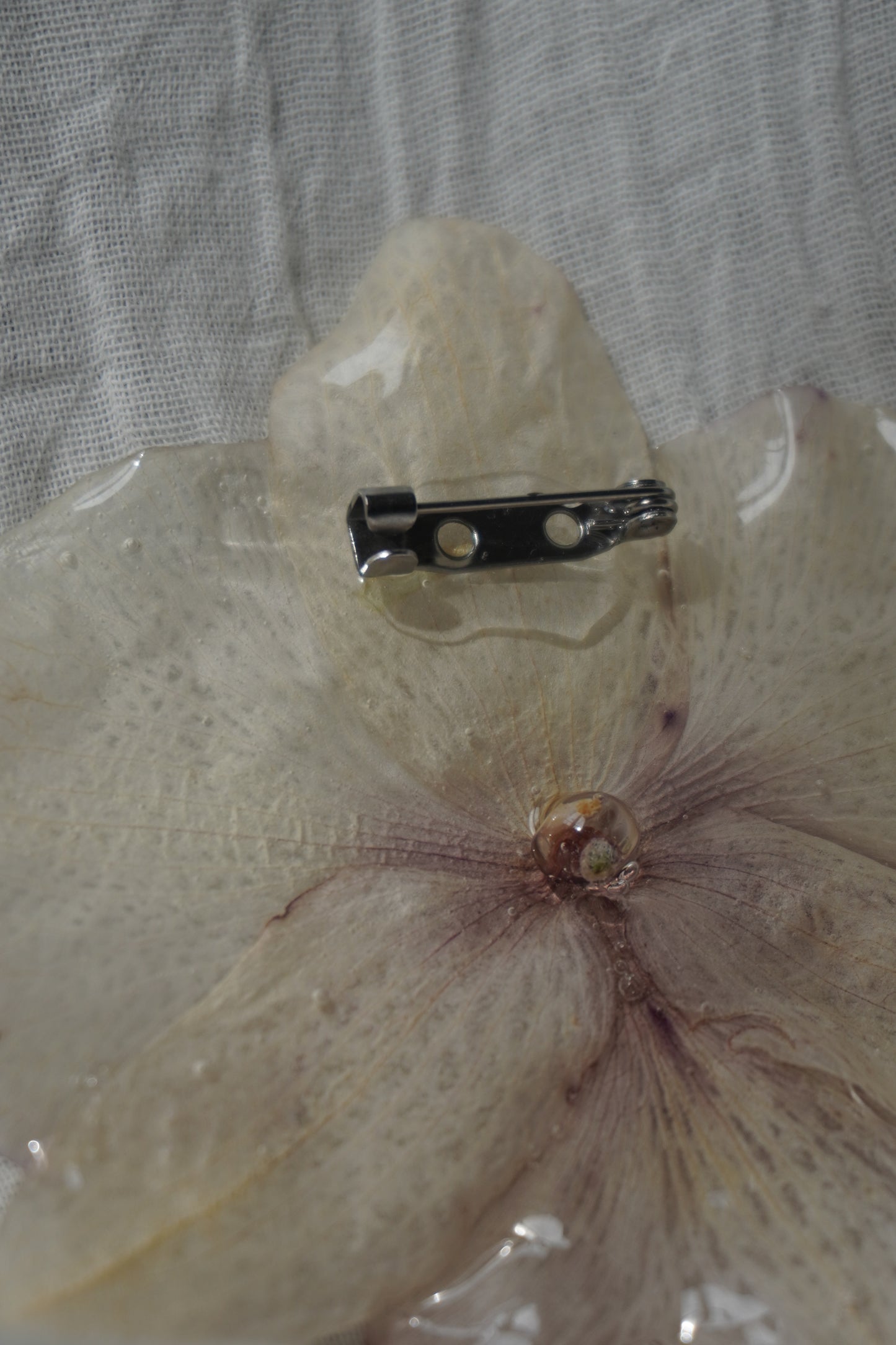 Broche pha