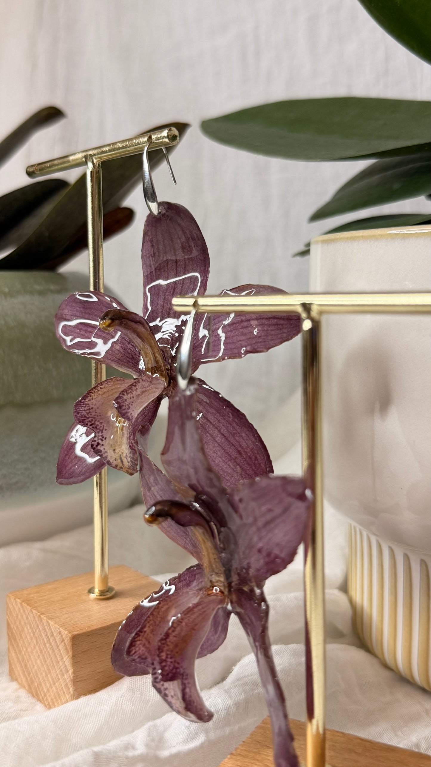 Boucle Cymbidium