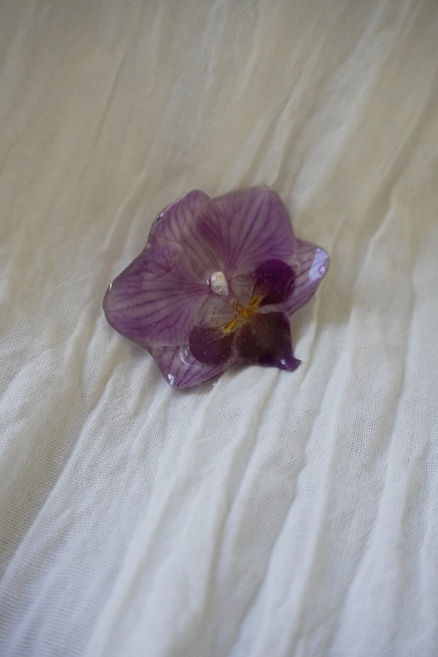 Broche Pha