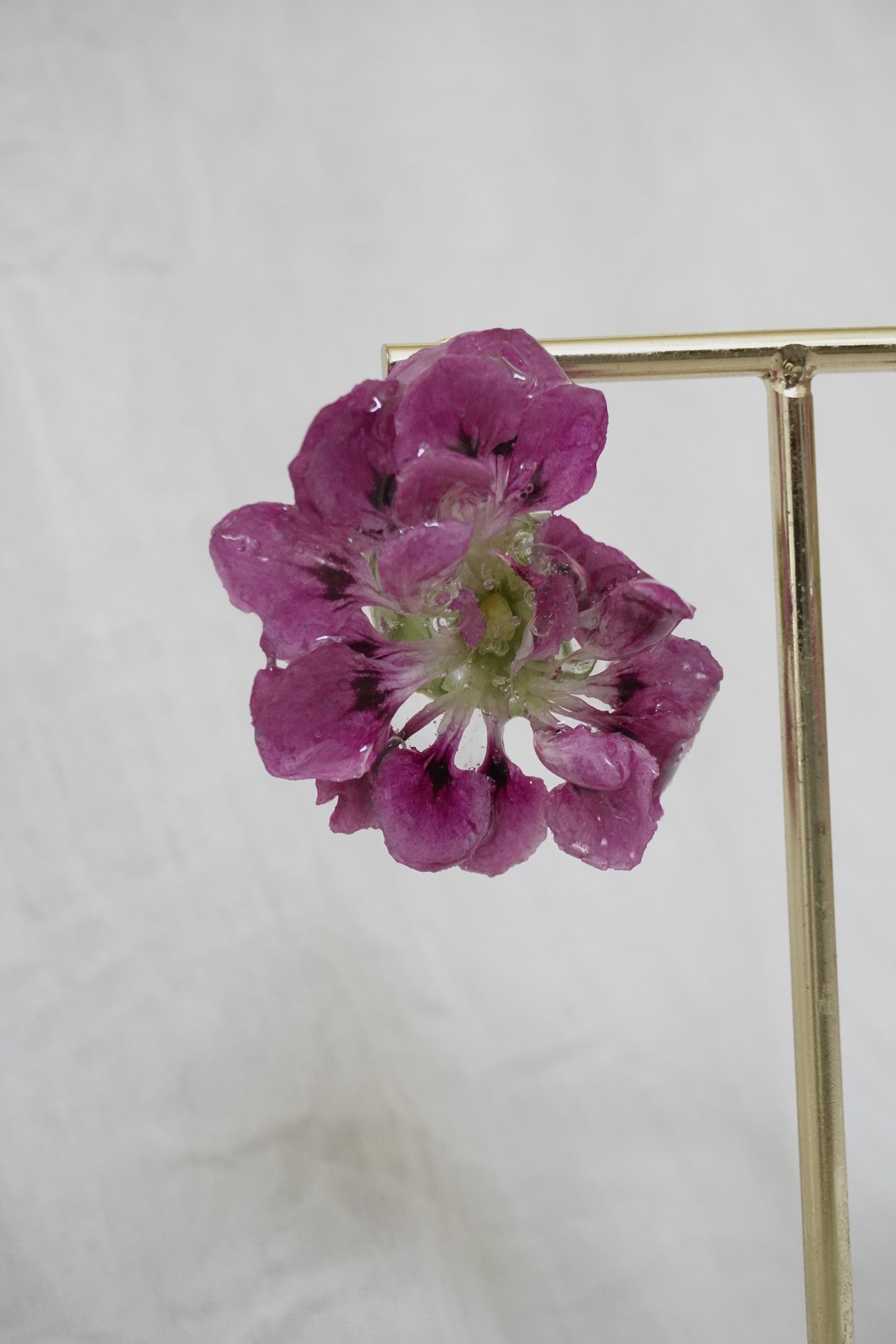 Boucle violette