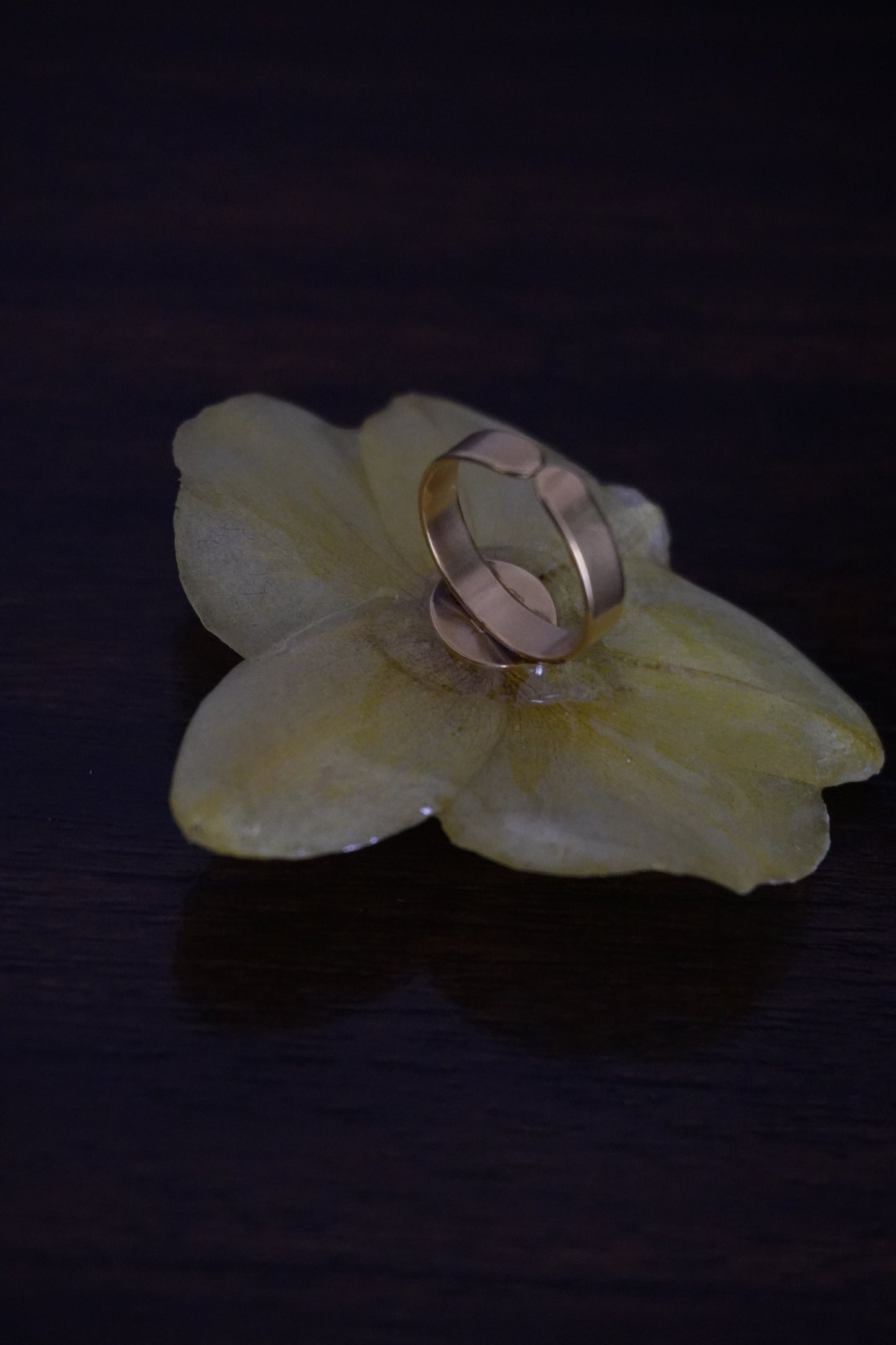 Bague Pha