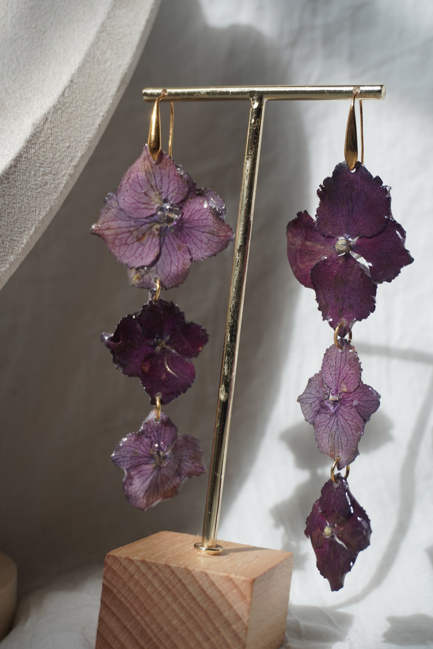Hortensia collection