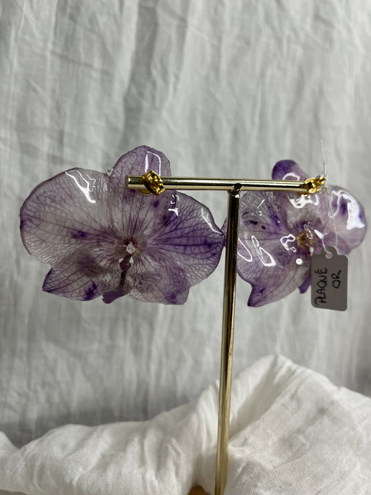 Boucle phalaenopsis