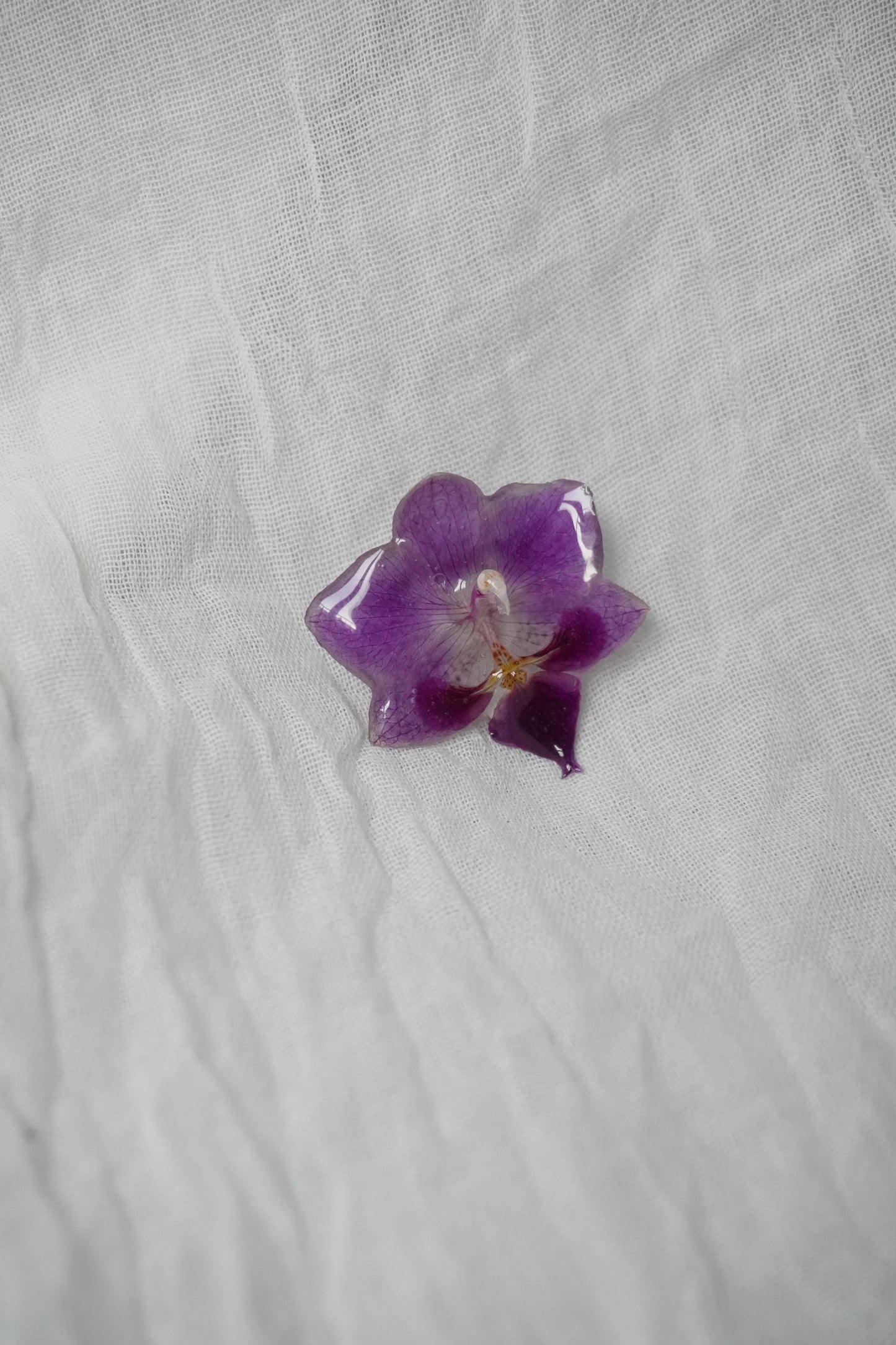 Broche mimi