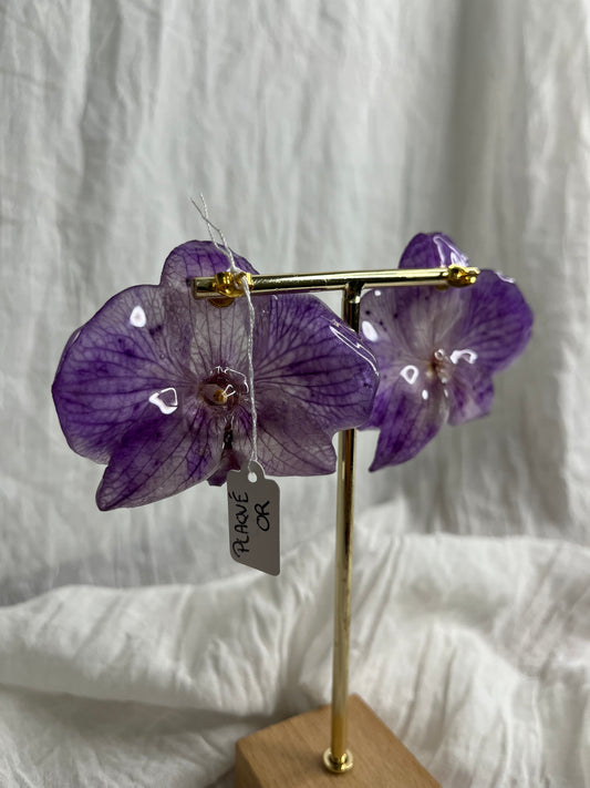 Boucle phalaenopsis