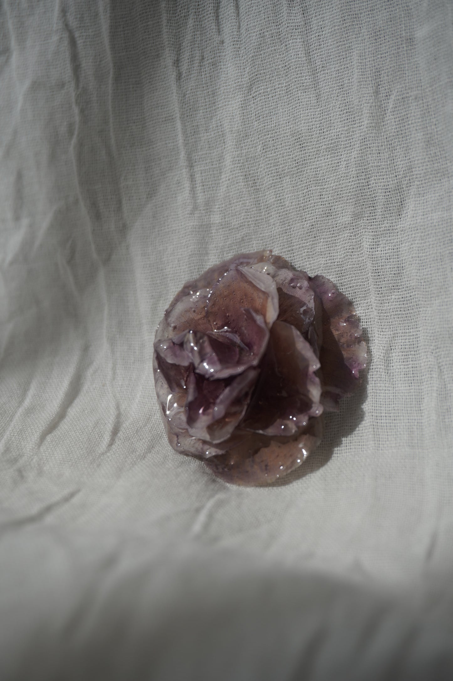 Broche bego