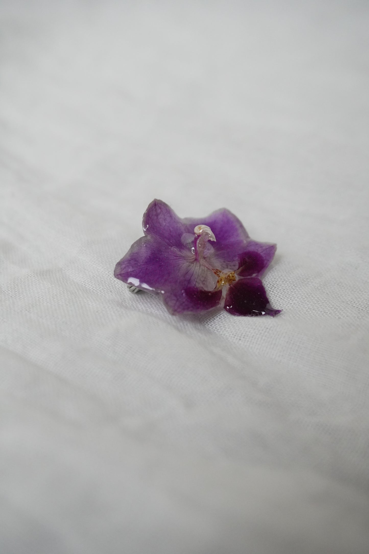 Broche mimi