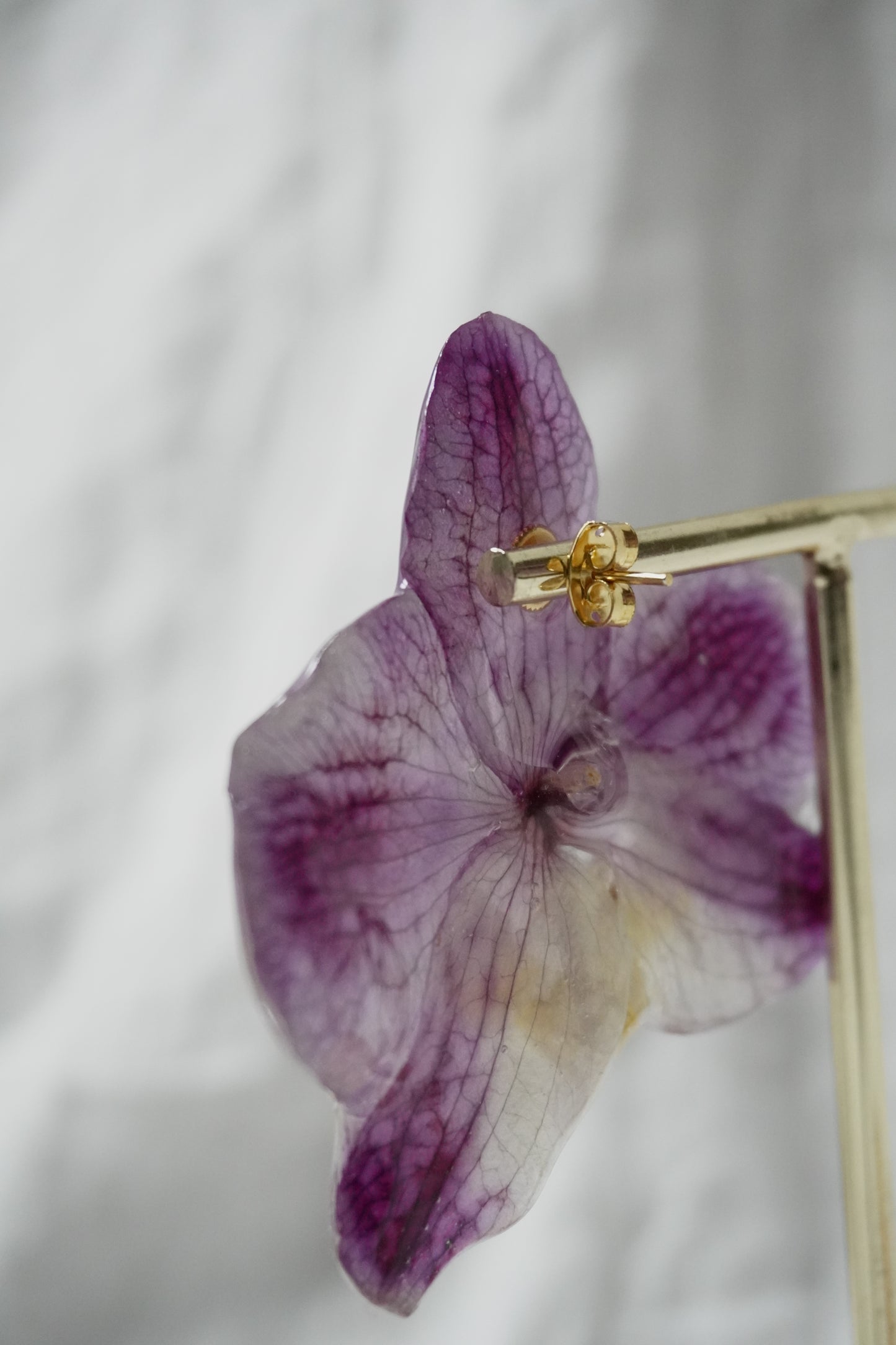 Boucle phalaenopsis