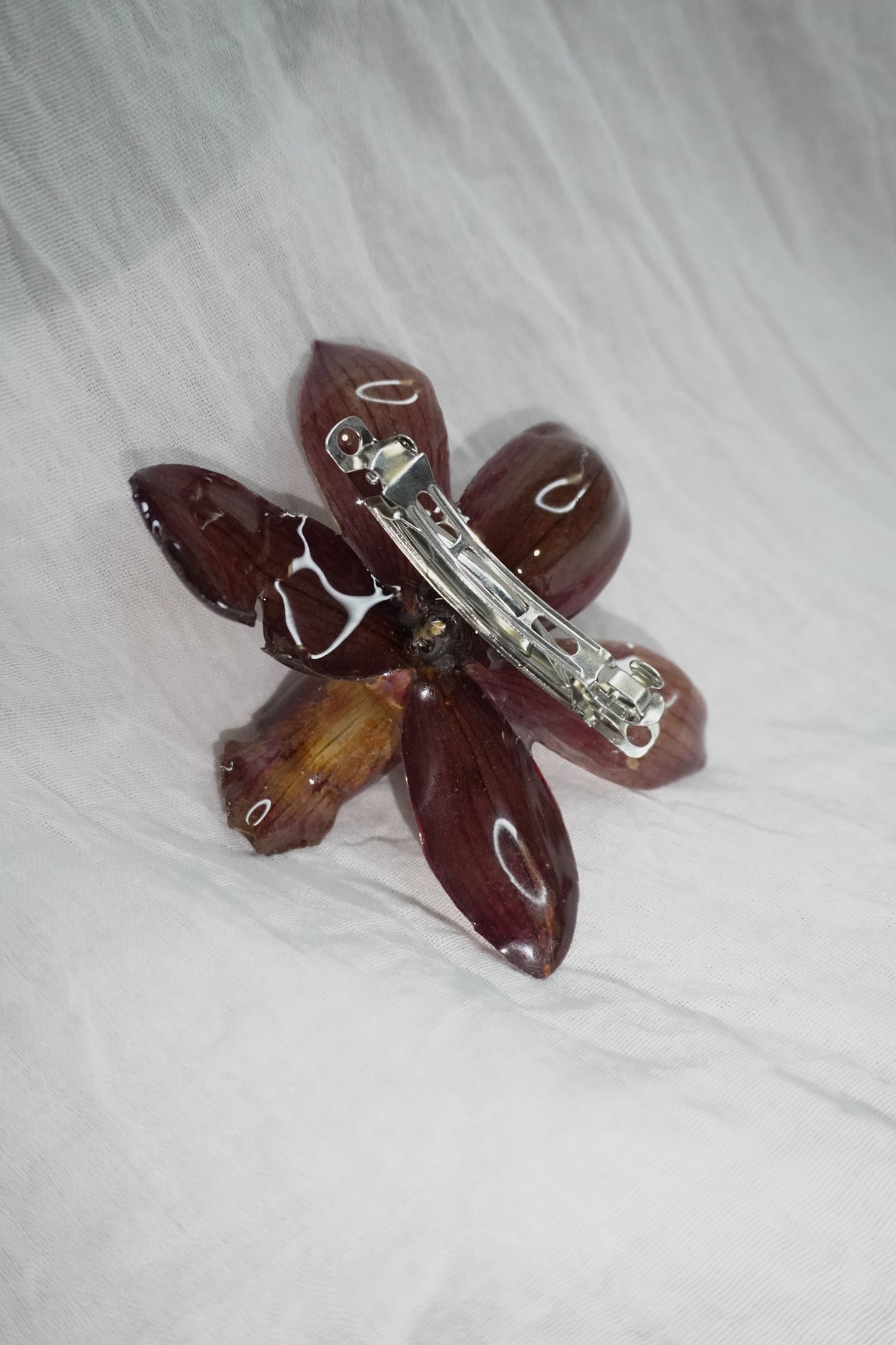 Pince prune