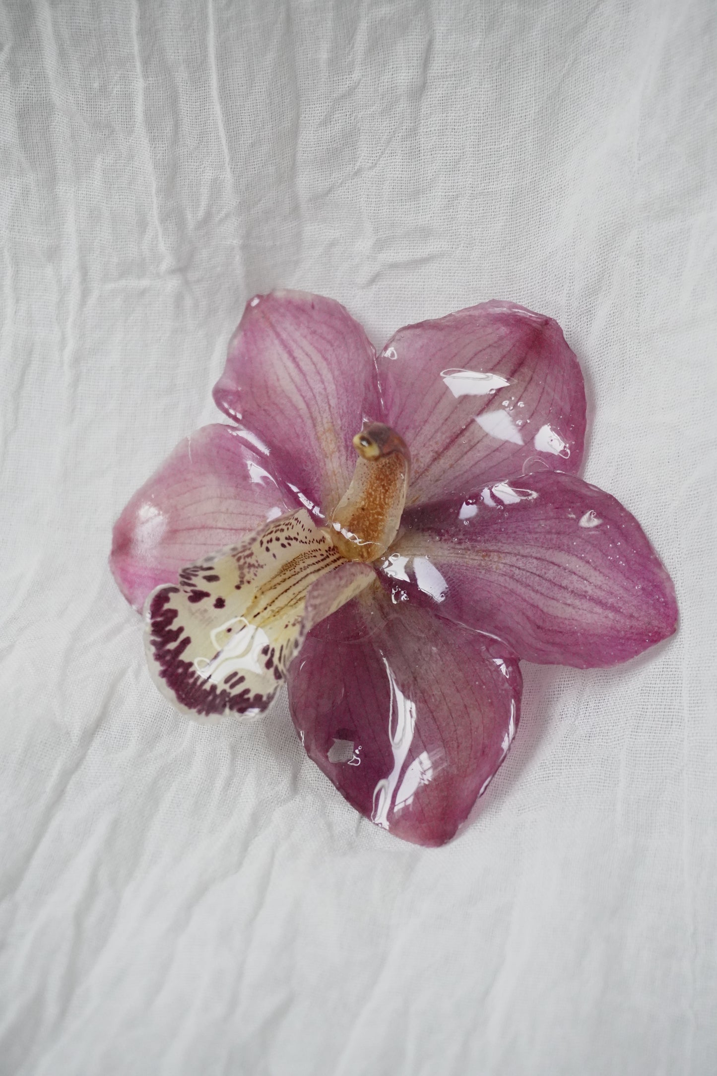 Pince Cerise