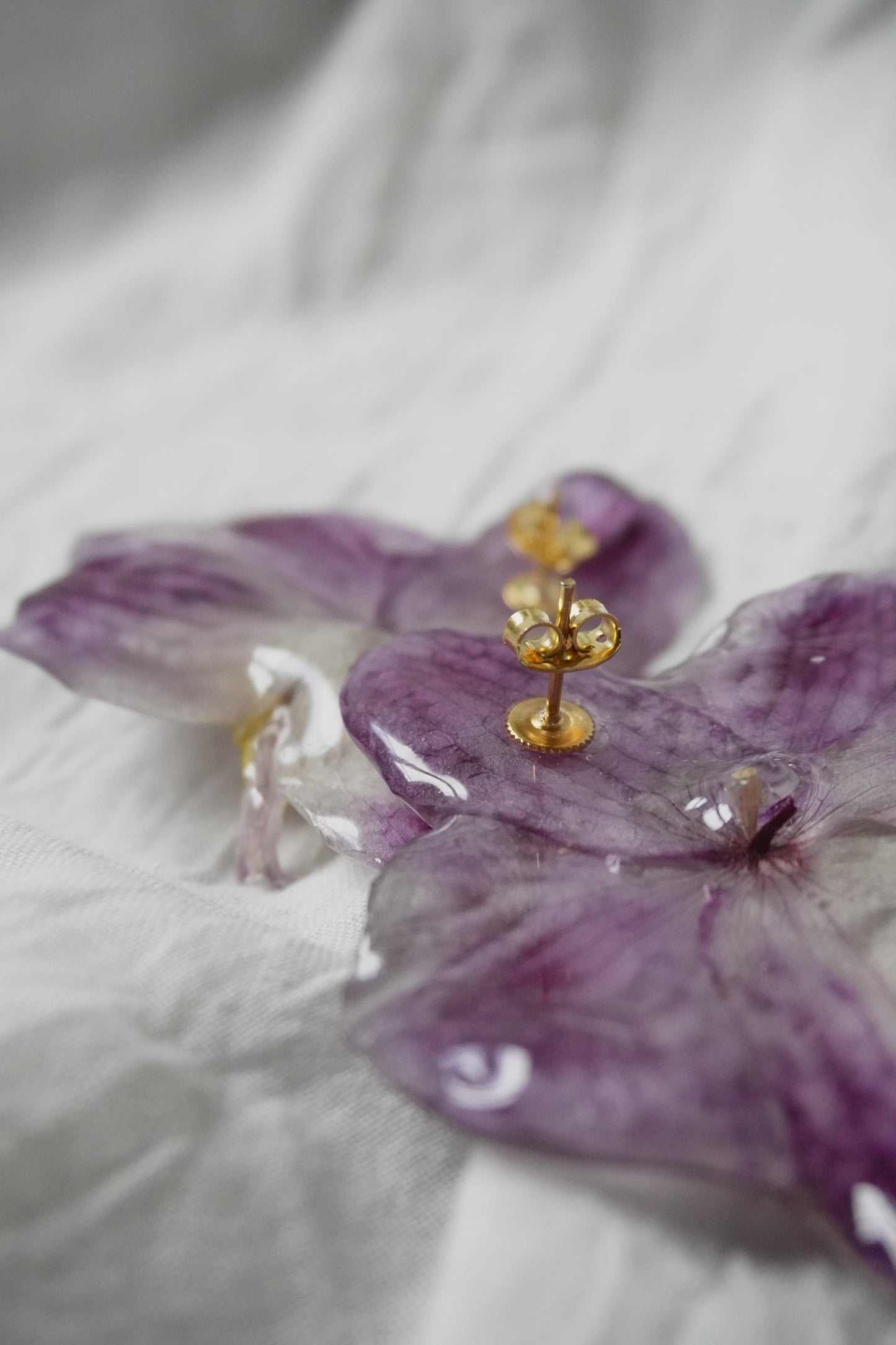 Boucle phalaenopsis
