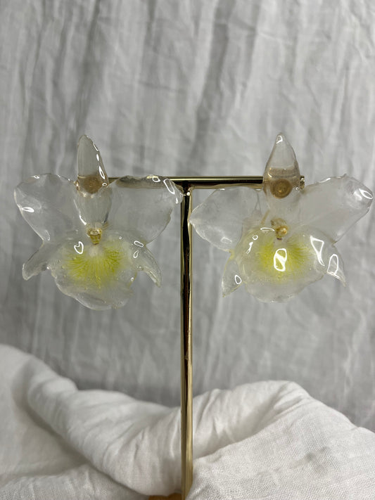 Parure translucide