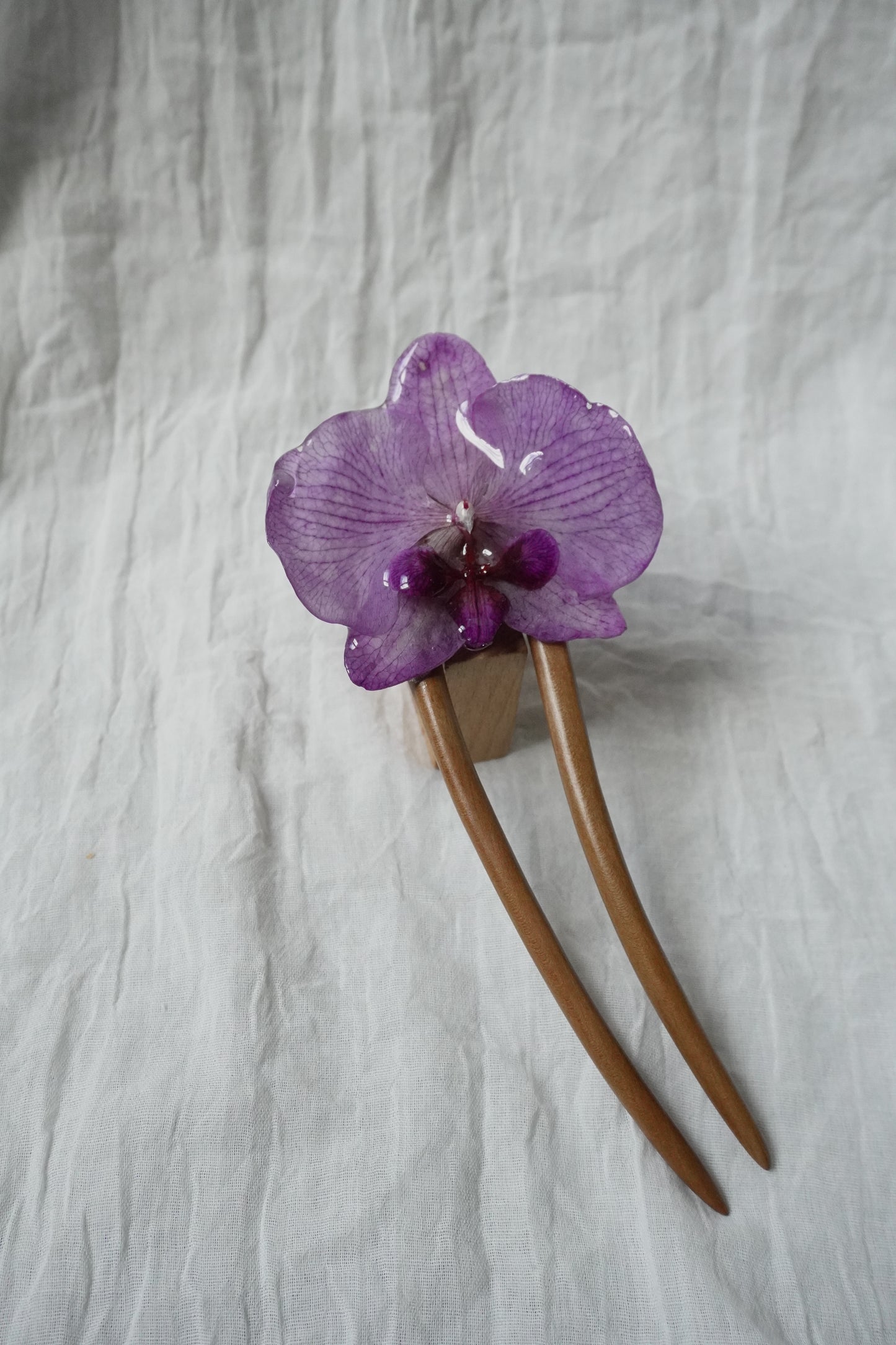 Pique phalaenopsis