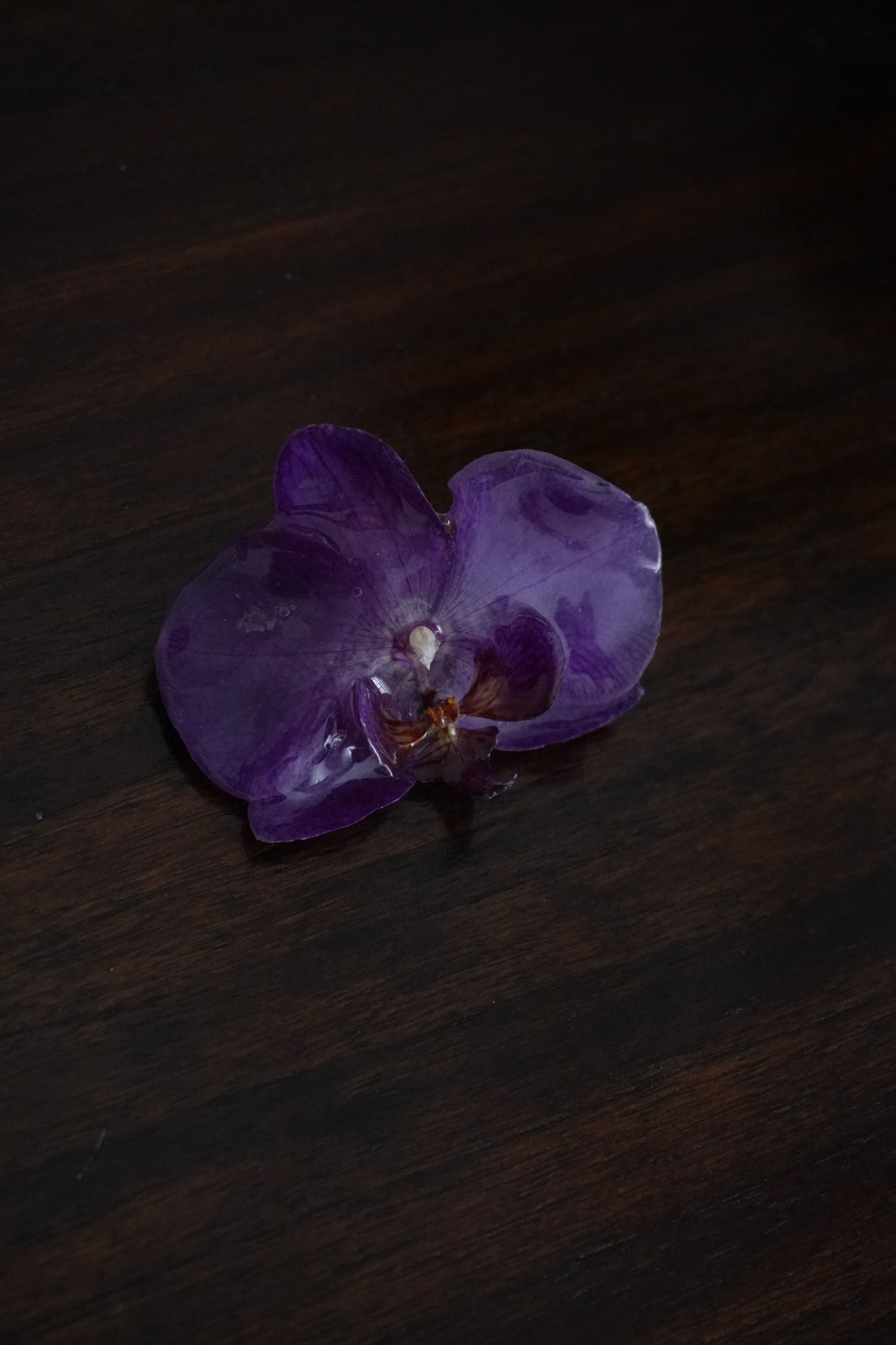 Bague Pha