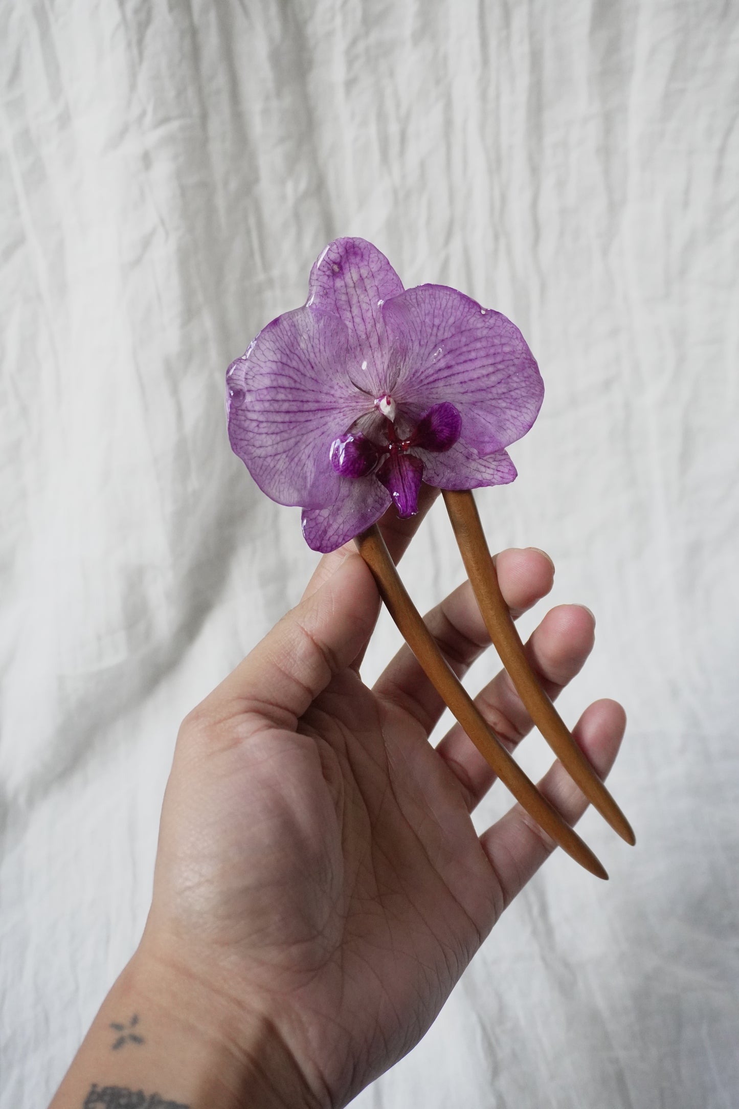 Pique phalaenopsis