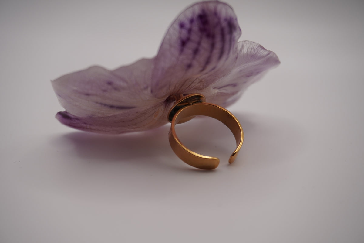 Bague pha