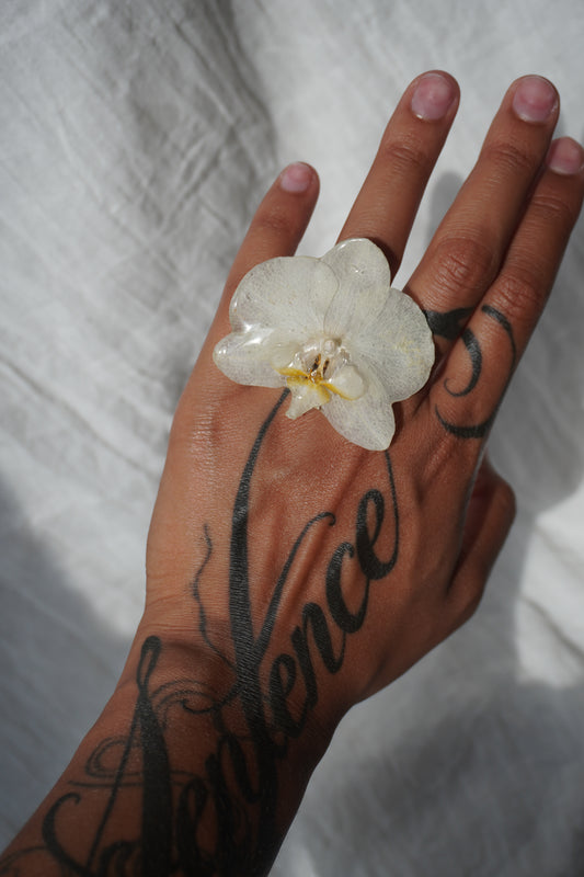 Bague pha