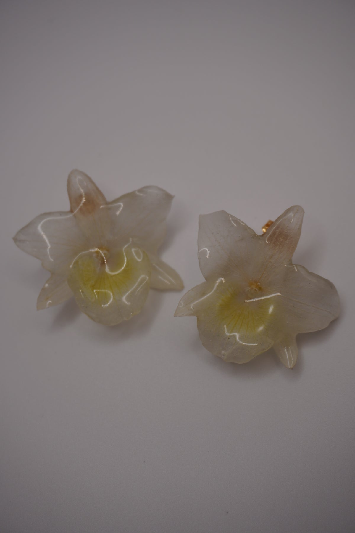 Parure translucide