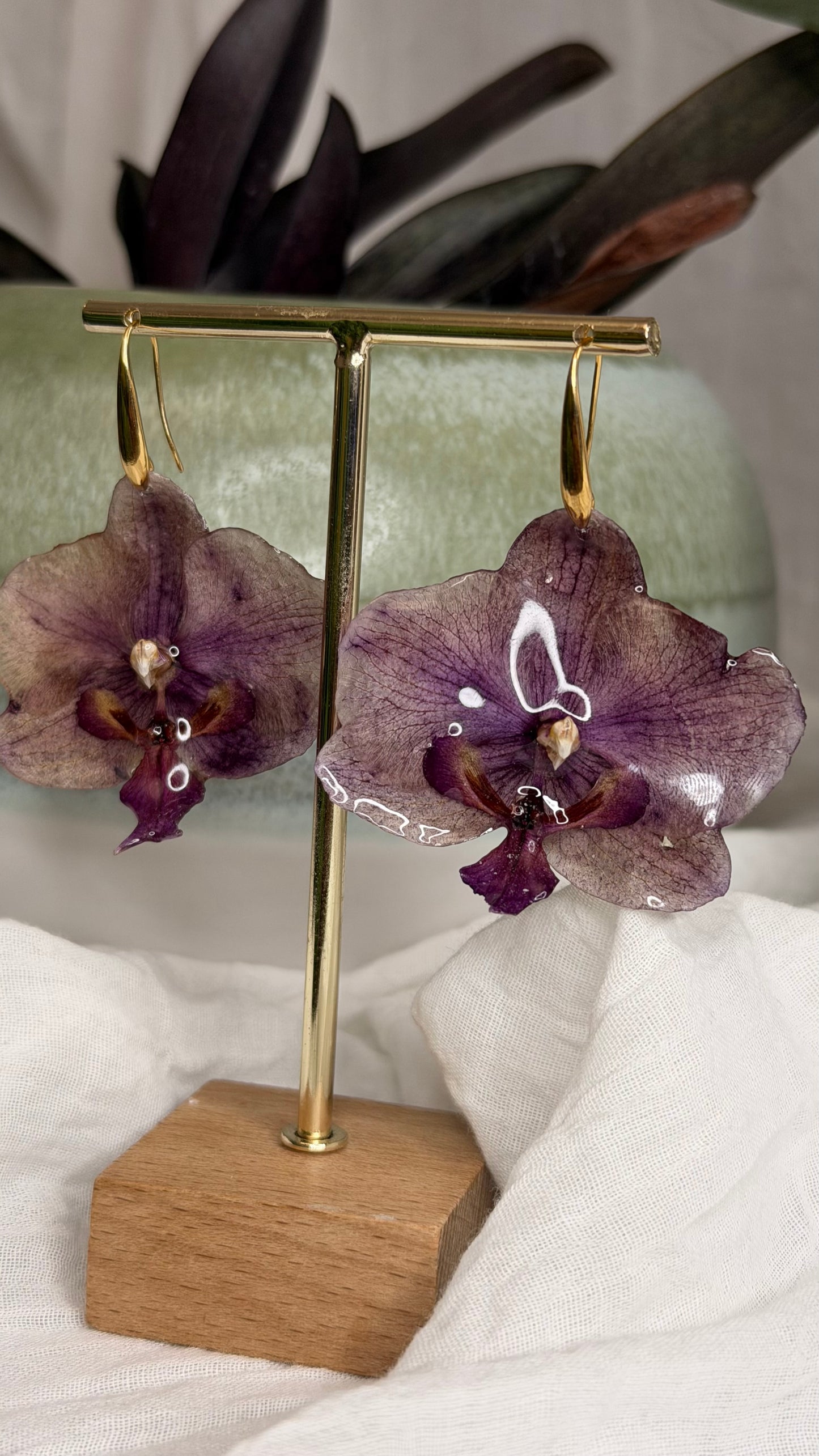 Boucle phalaenopsis