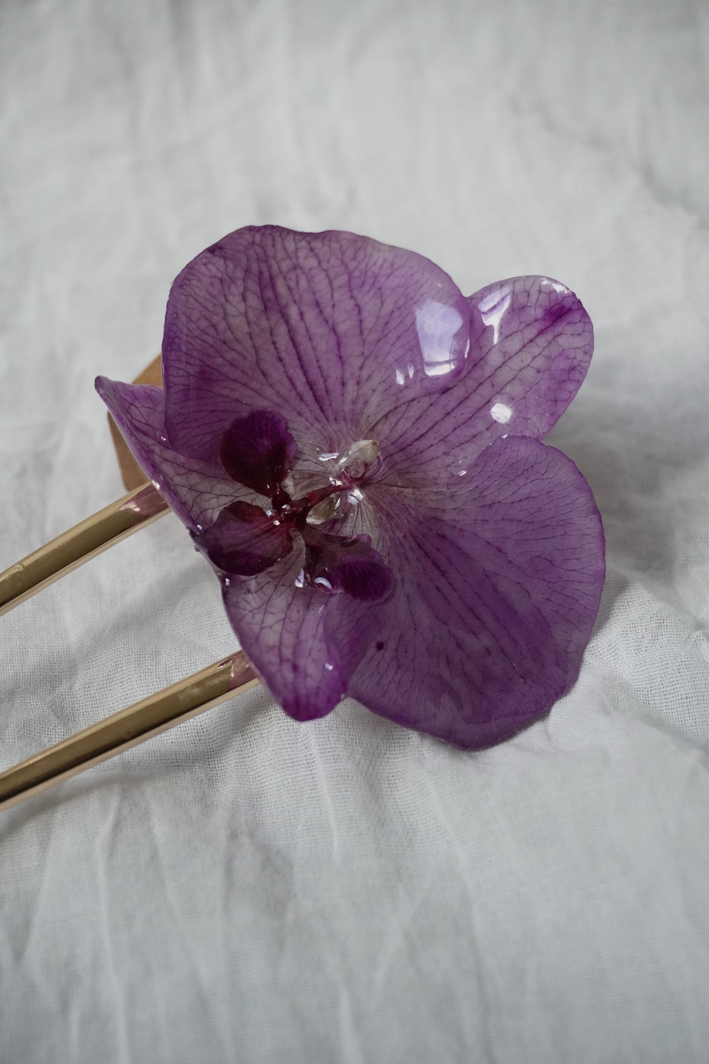 Pique phalaenopsis