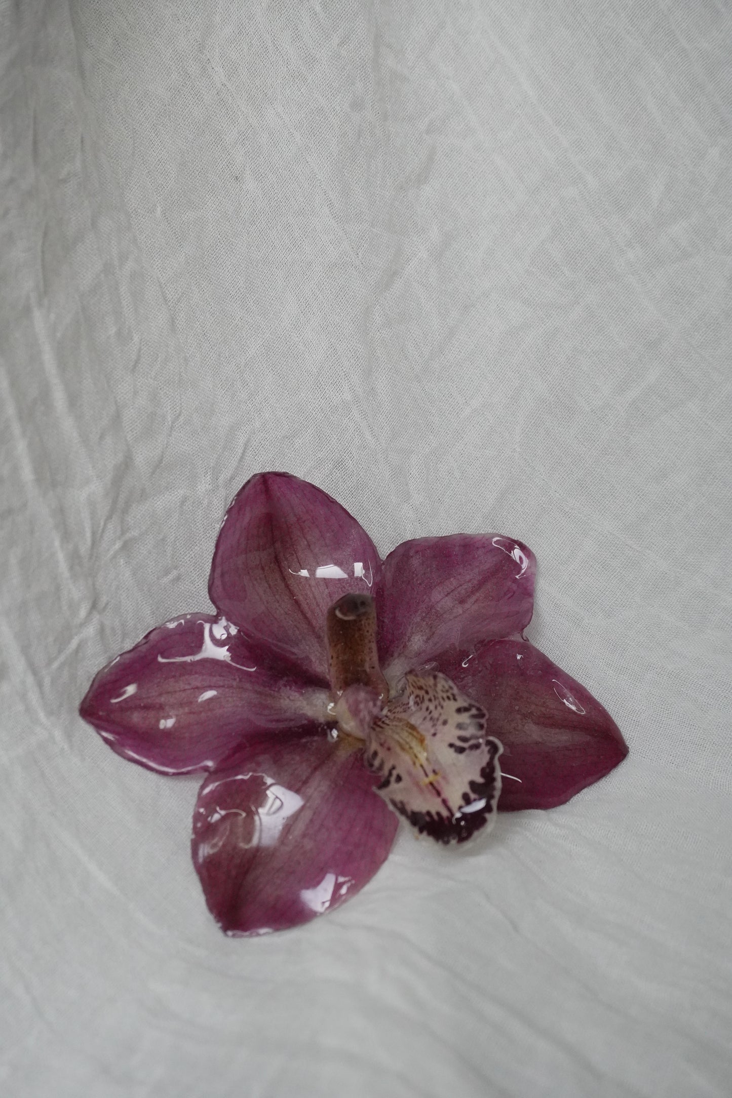 Broche cerise