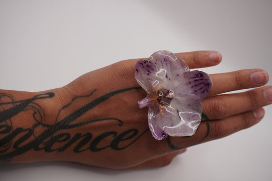 Bague pha