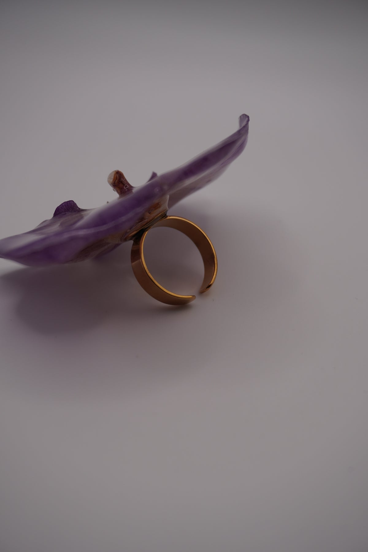 Bague pha