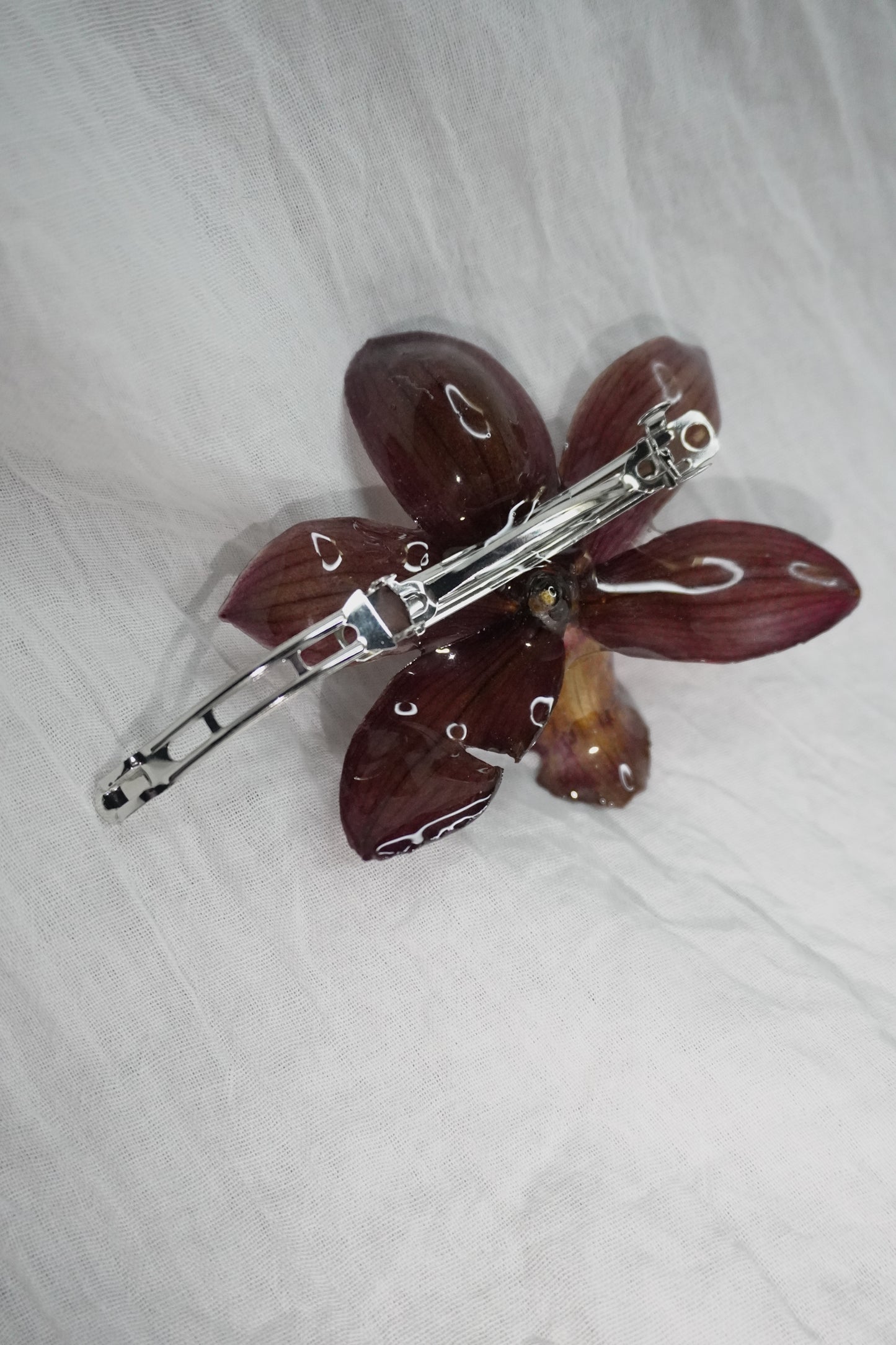 Pince prune