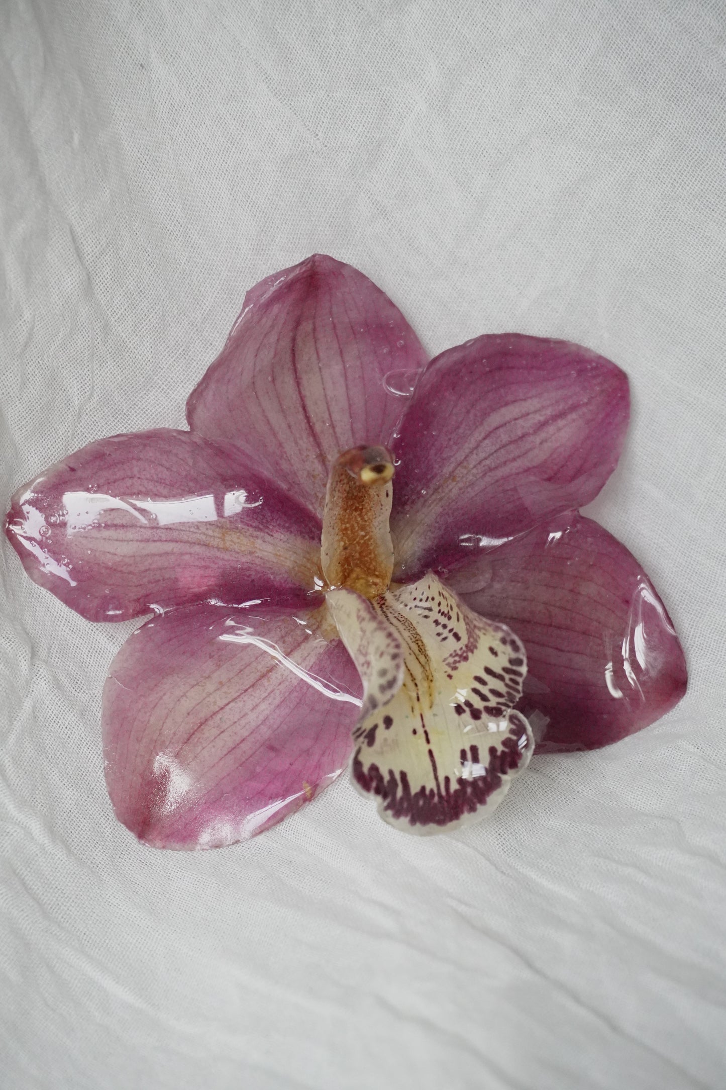 Pince Cerise