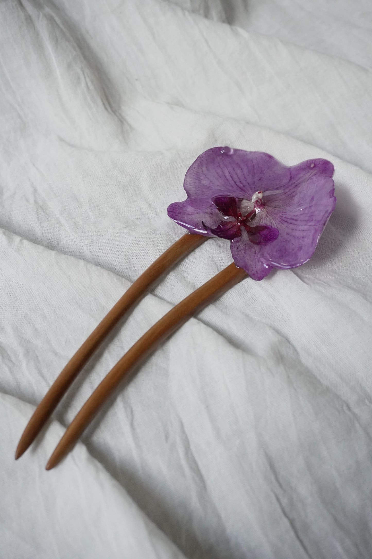 Pique phalaenopsis