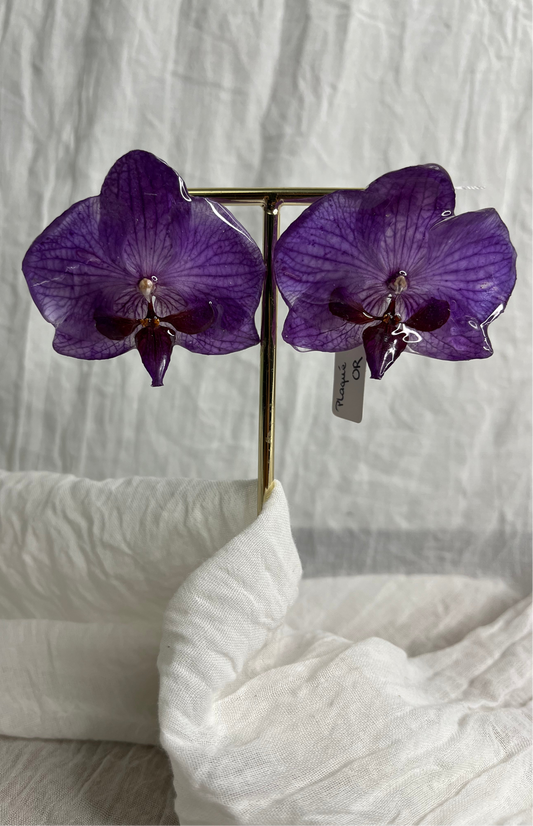 Boucle phalaenopsis