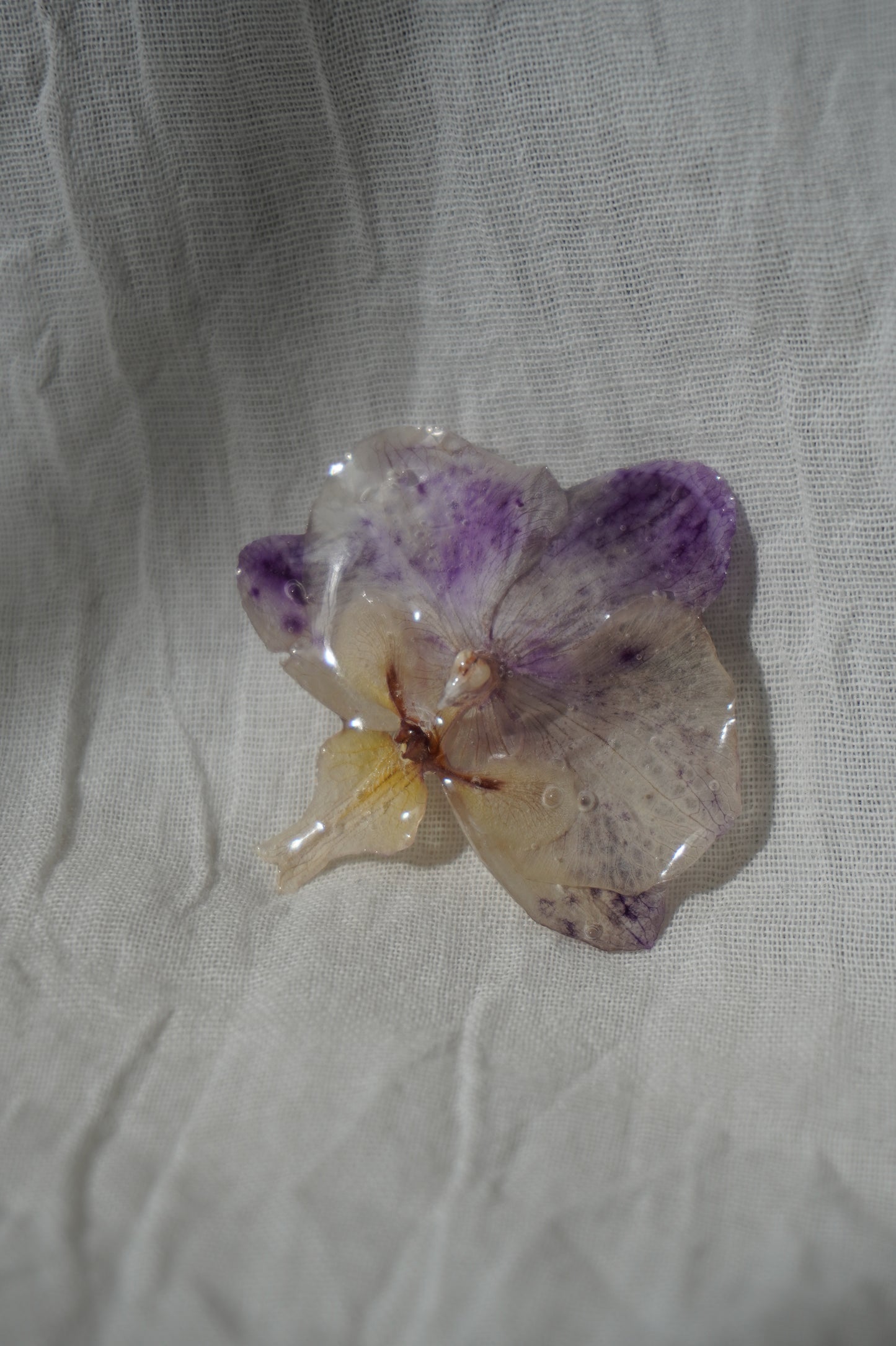 Broche pha