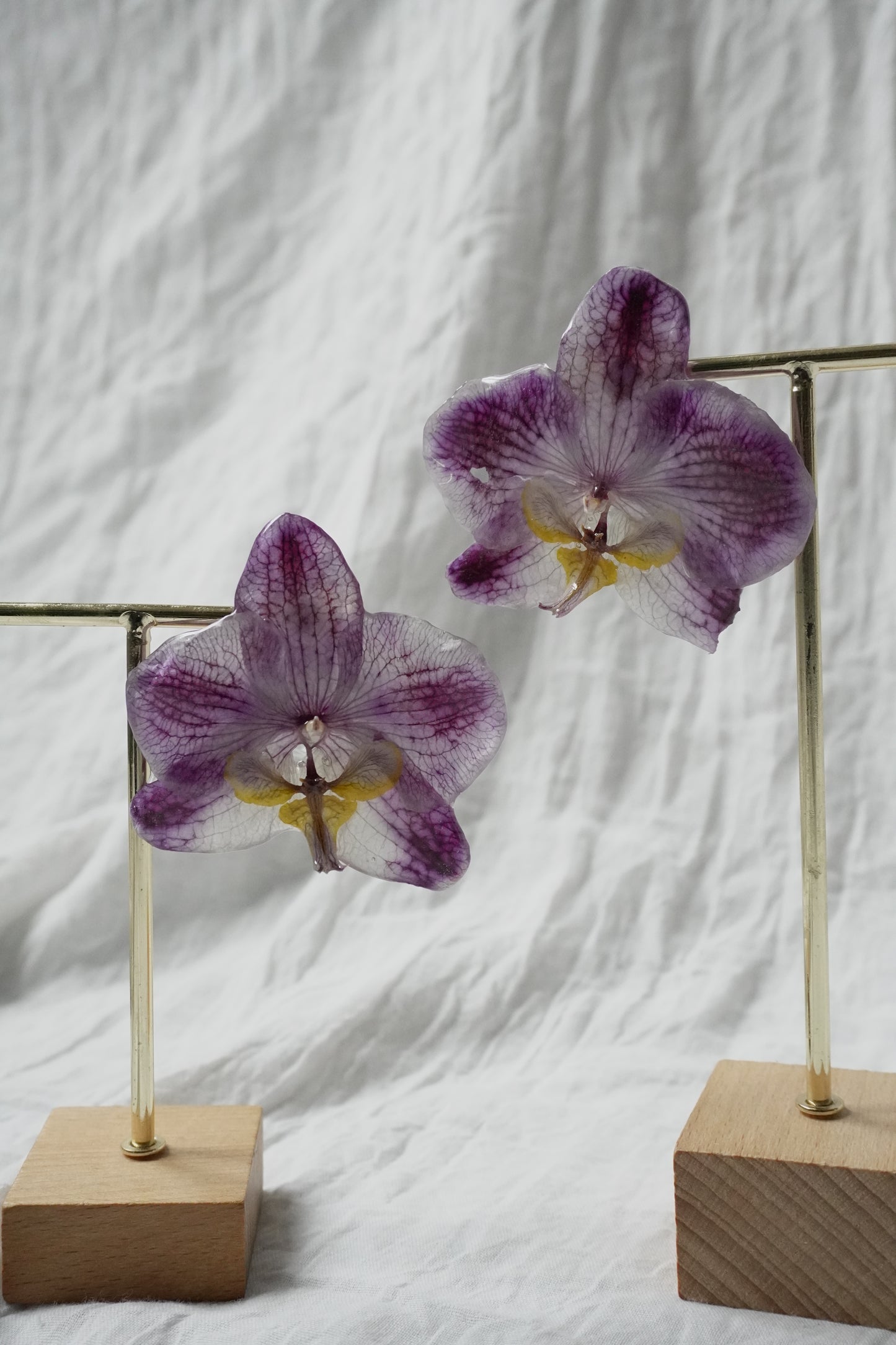 Boucle phalaenopsis