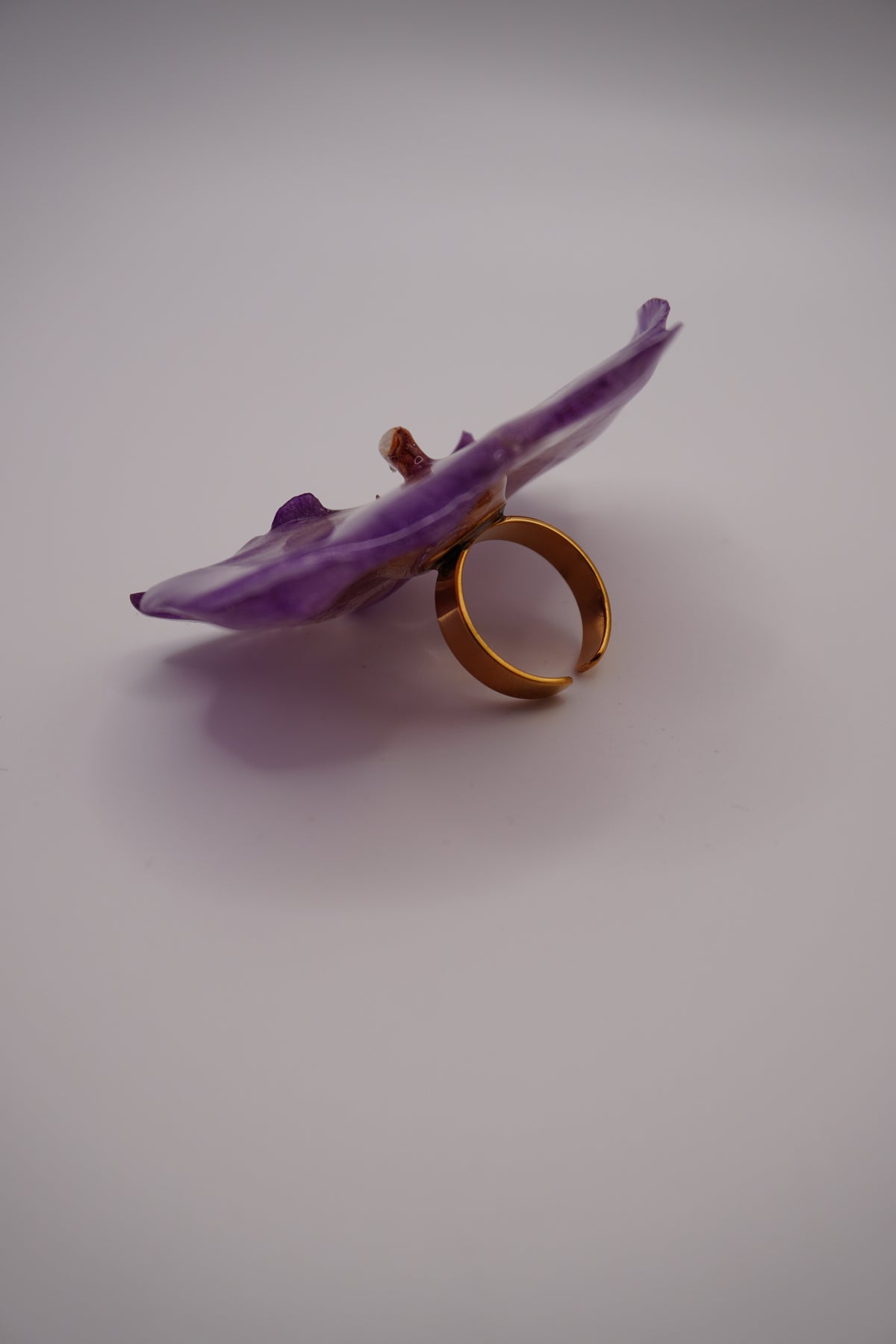 Bague pha