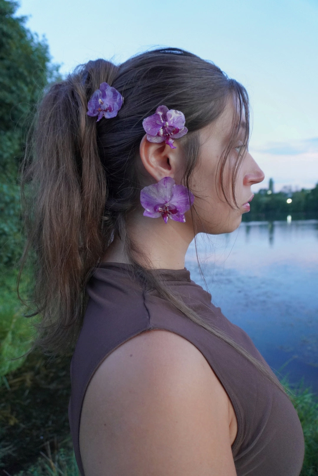Pince phalaenopsis