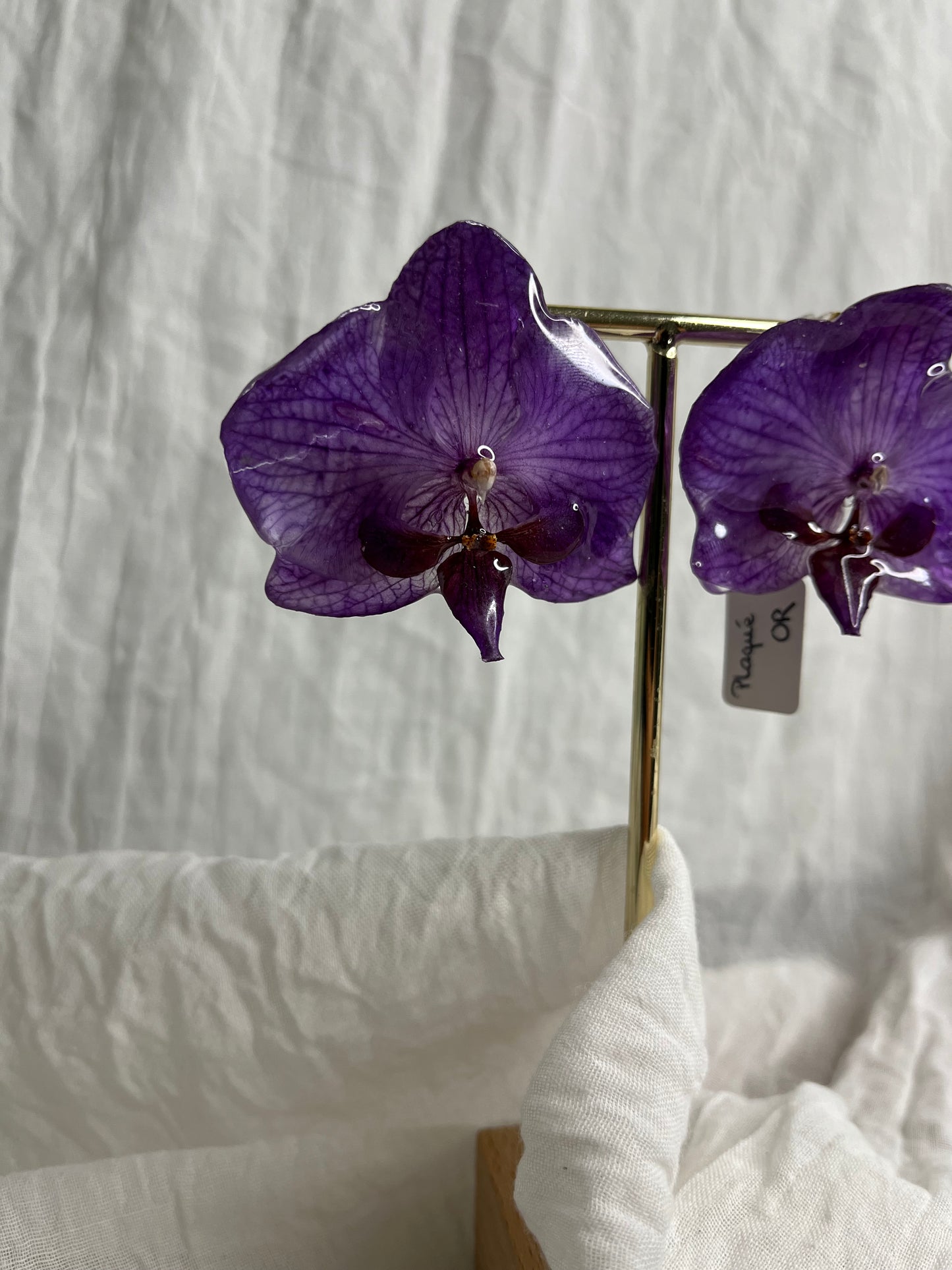 Boucle phalaenopsis