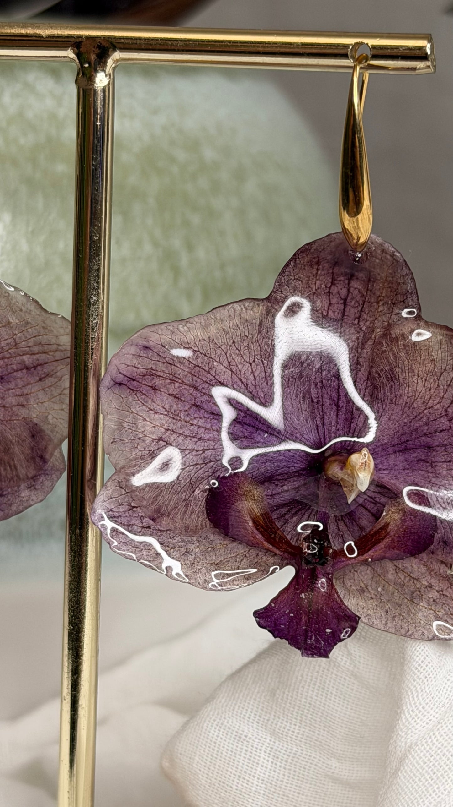 Boucle phalaenopsis