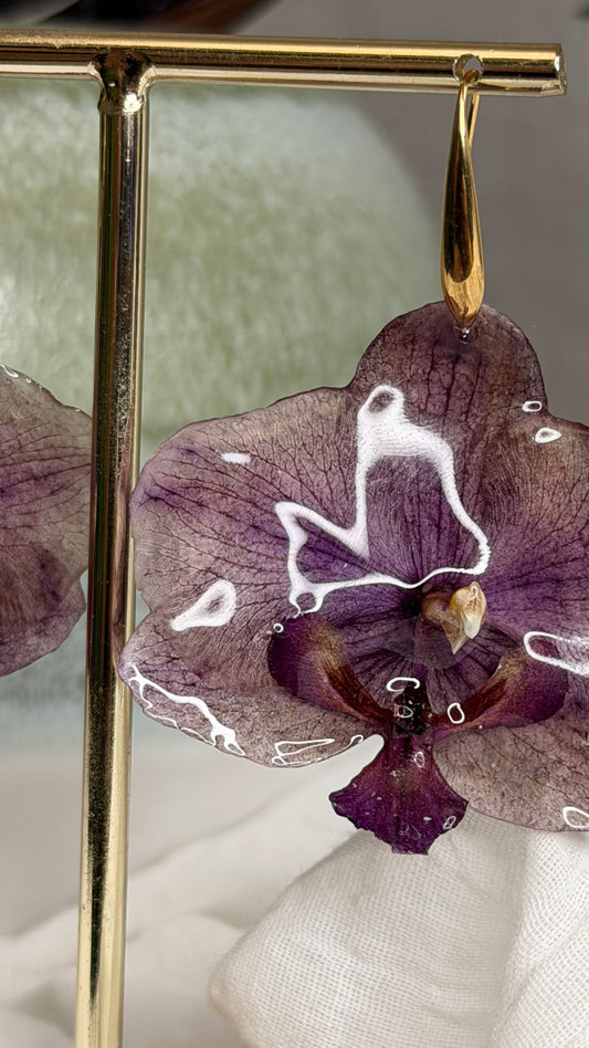 Boucle phalaenopsis