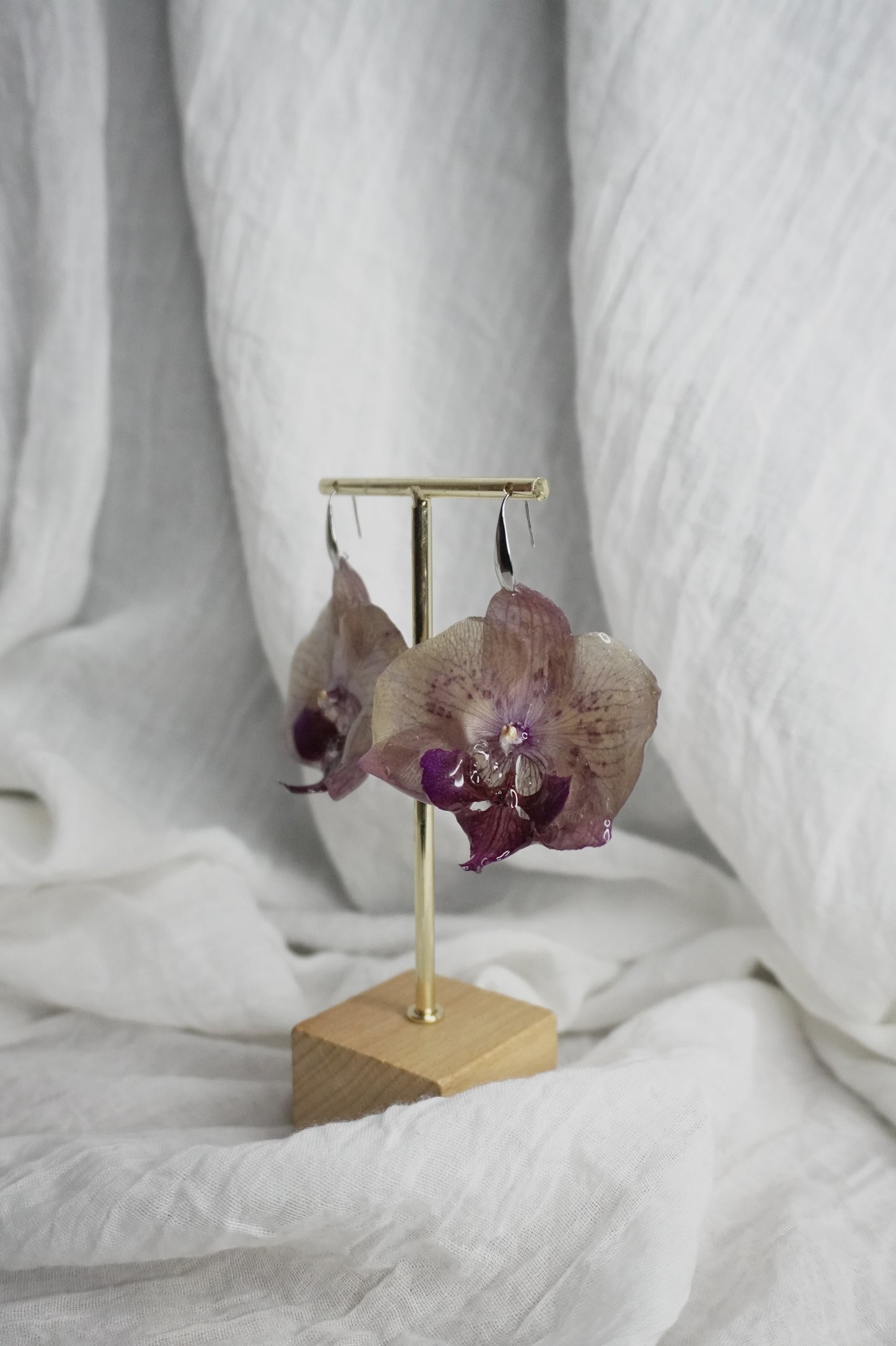 Boucle phalaenopsis