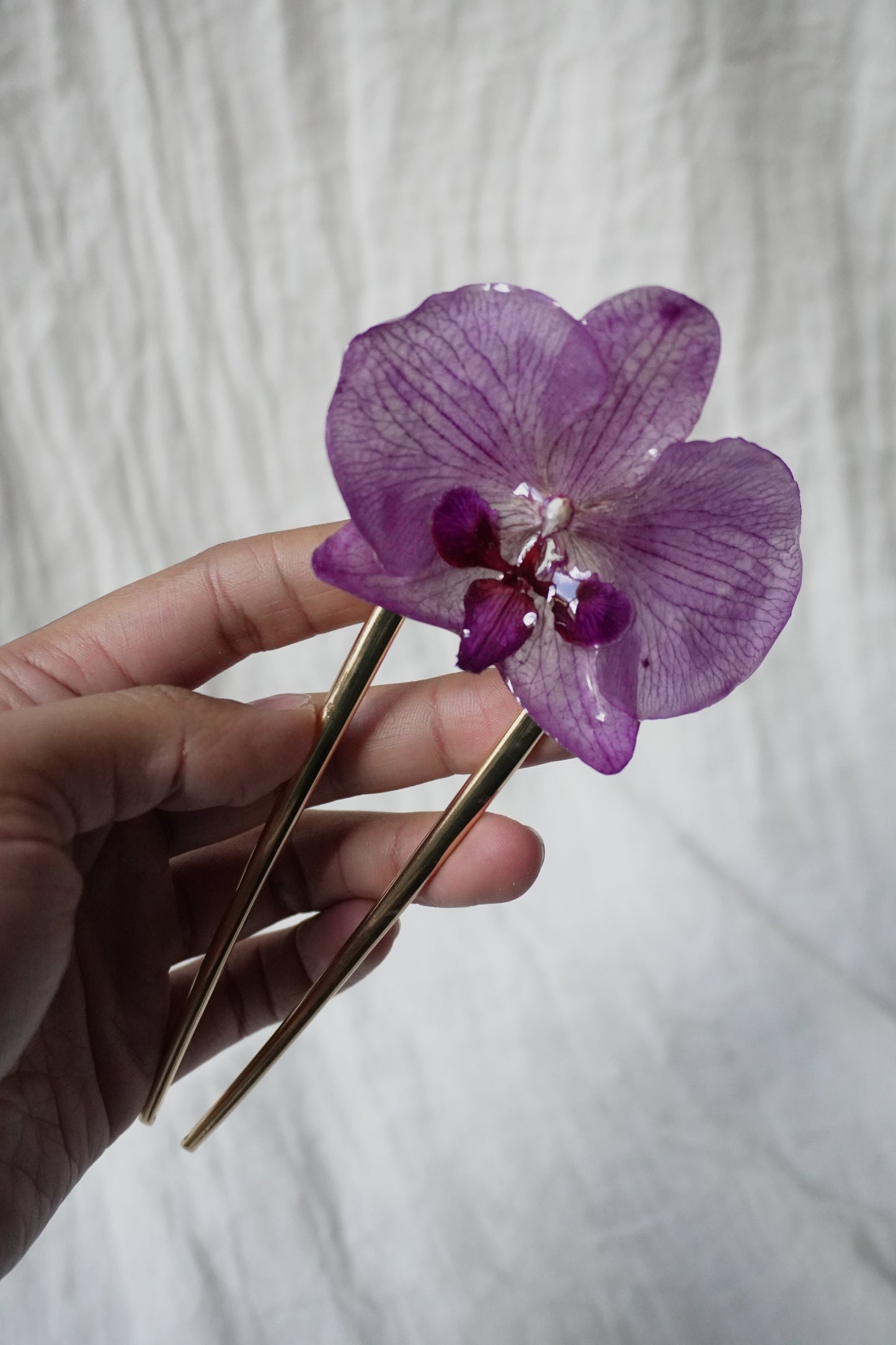 Pique phalaenopsis