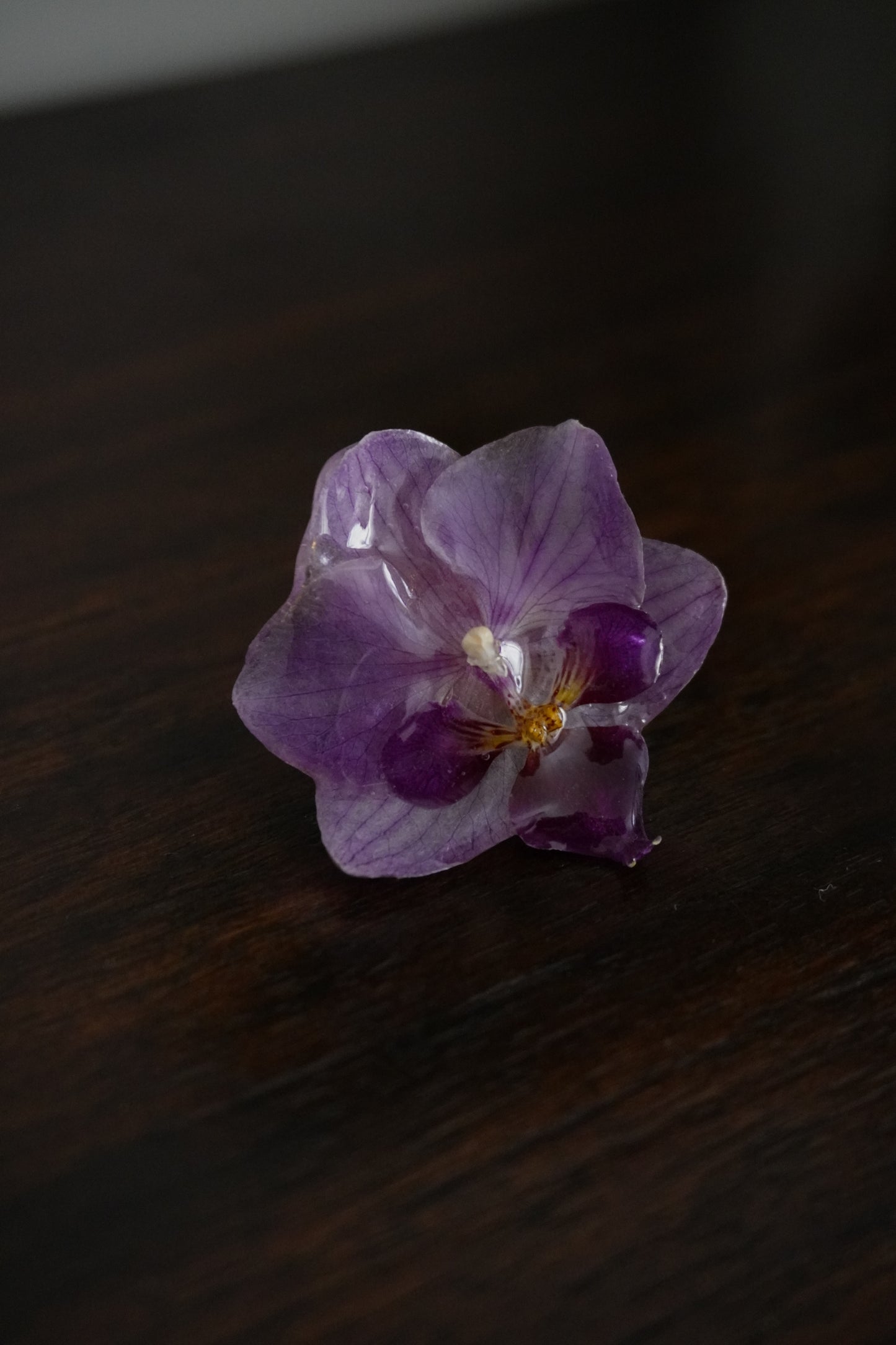 Bague pha