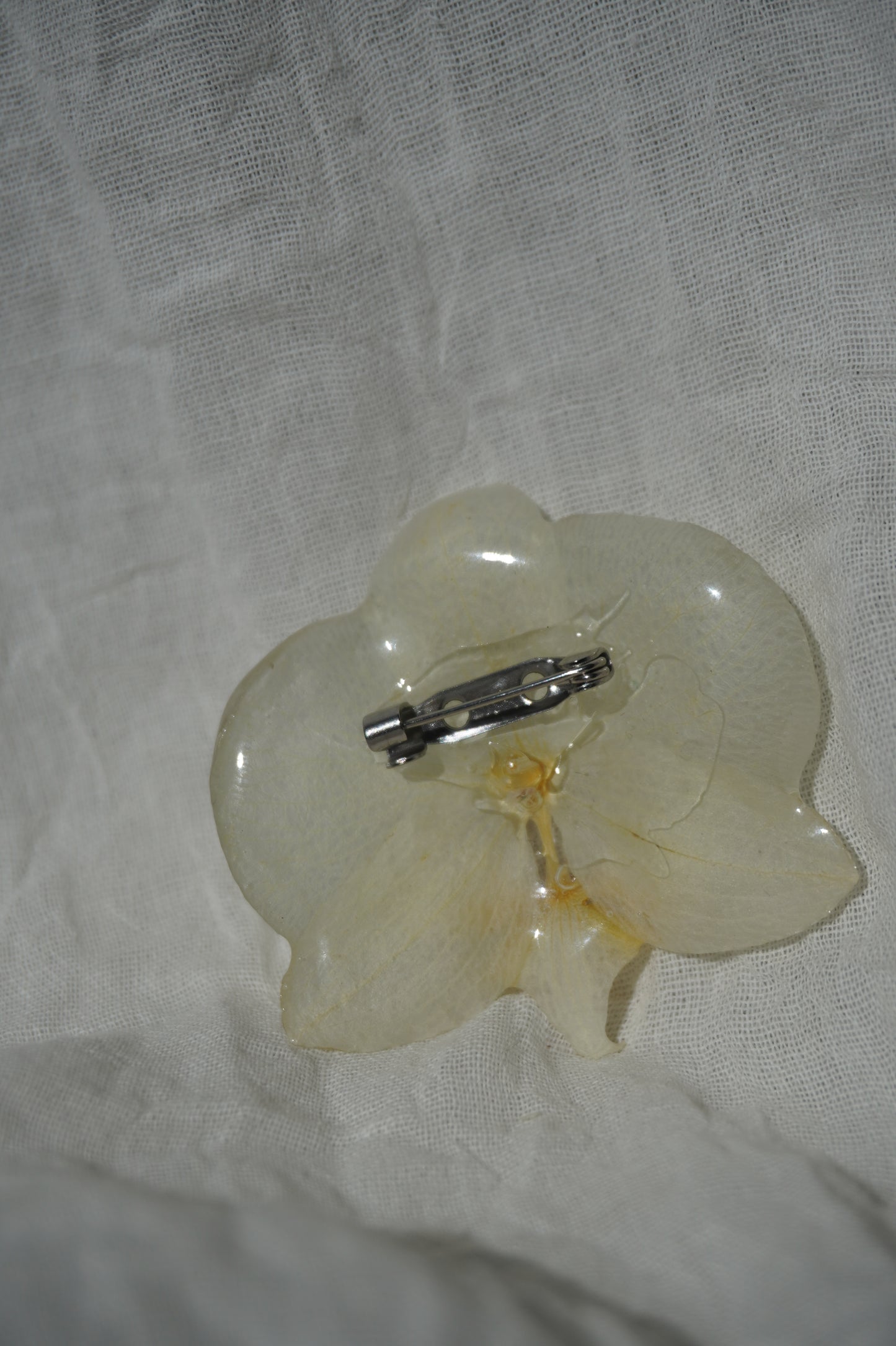Broche pha