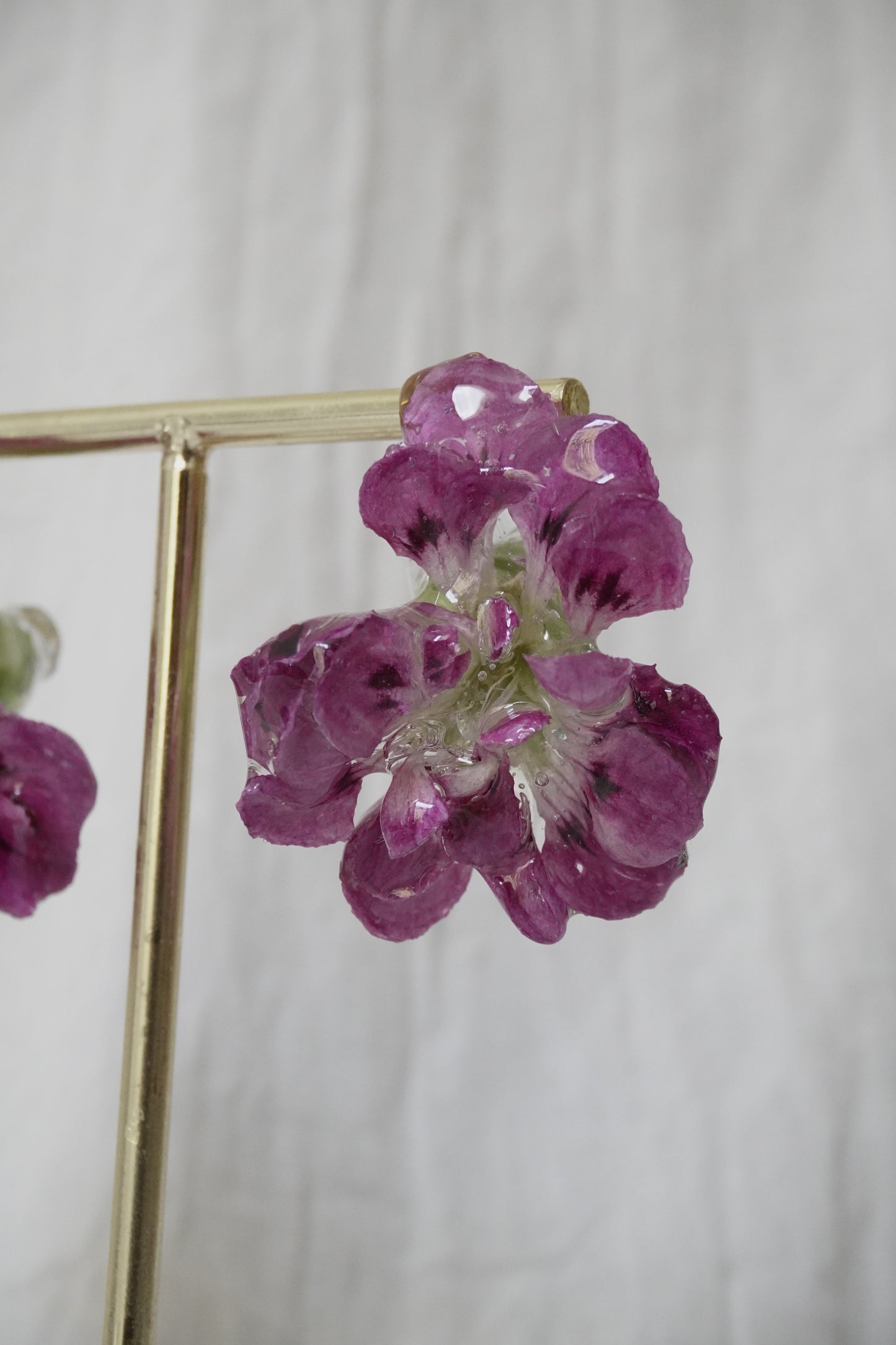 Boucle violette