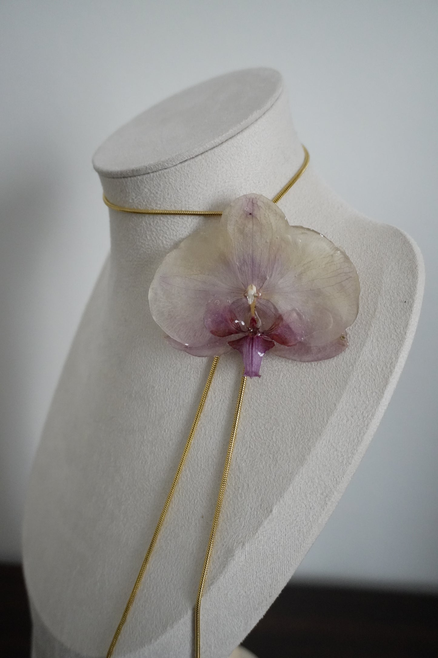 Collier Coco