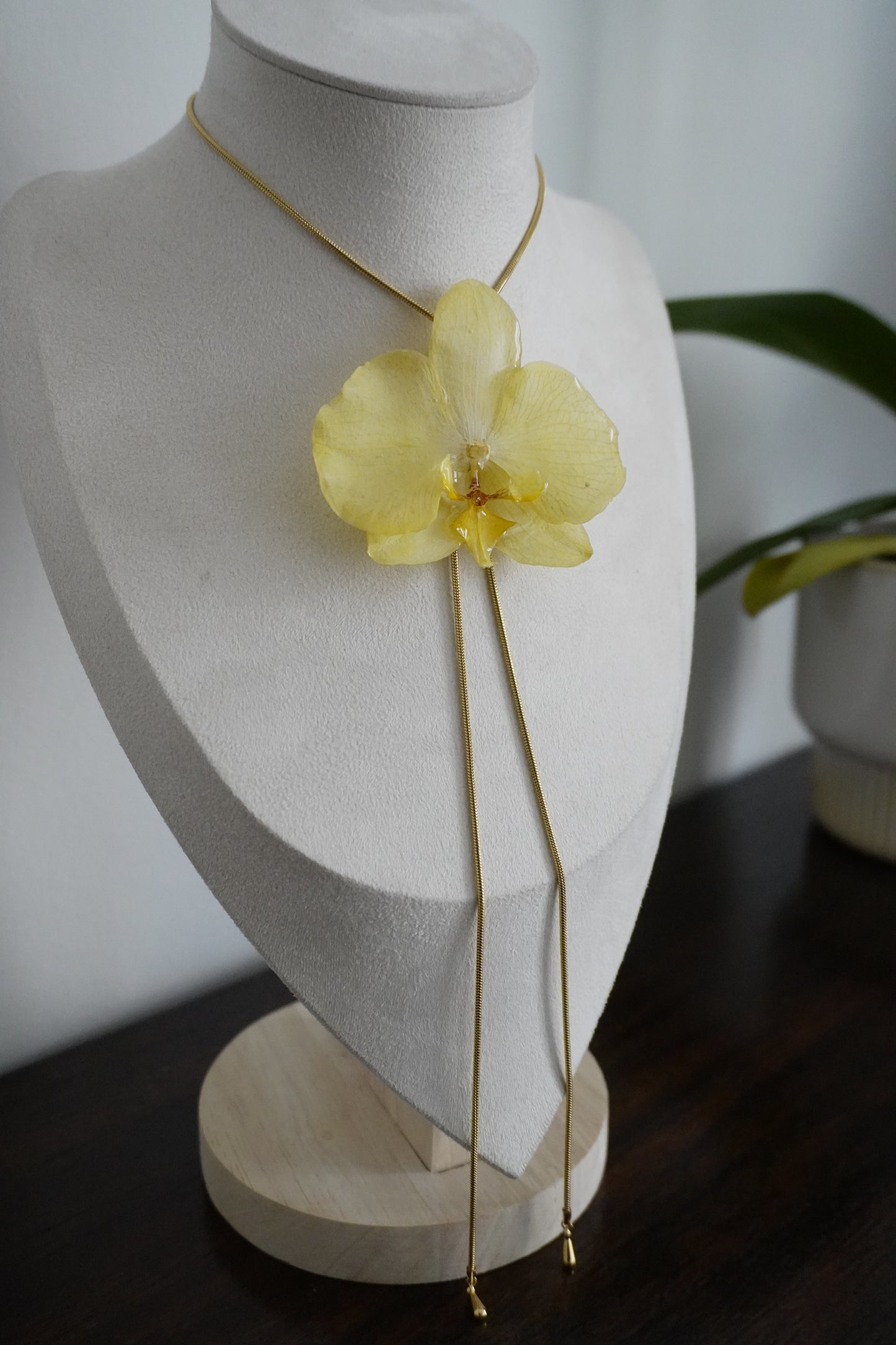 Collier coco
