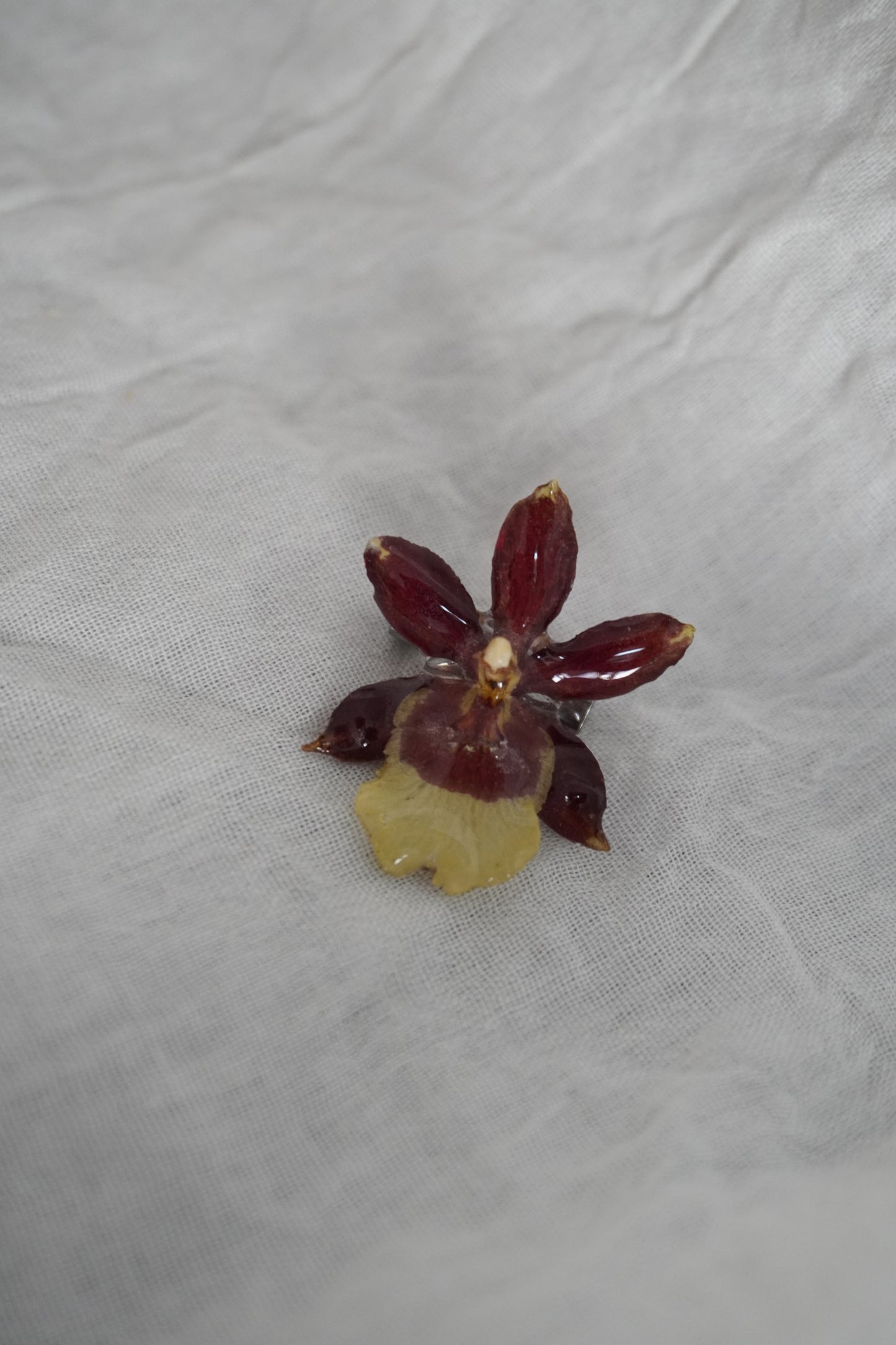 Broche mimi mini