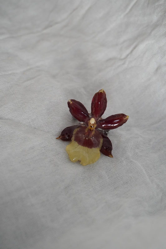 Broche mimi mini