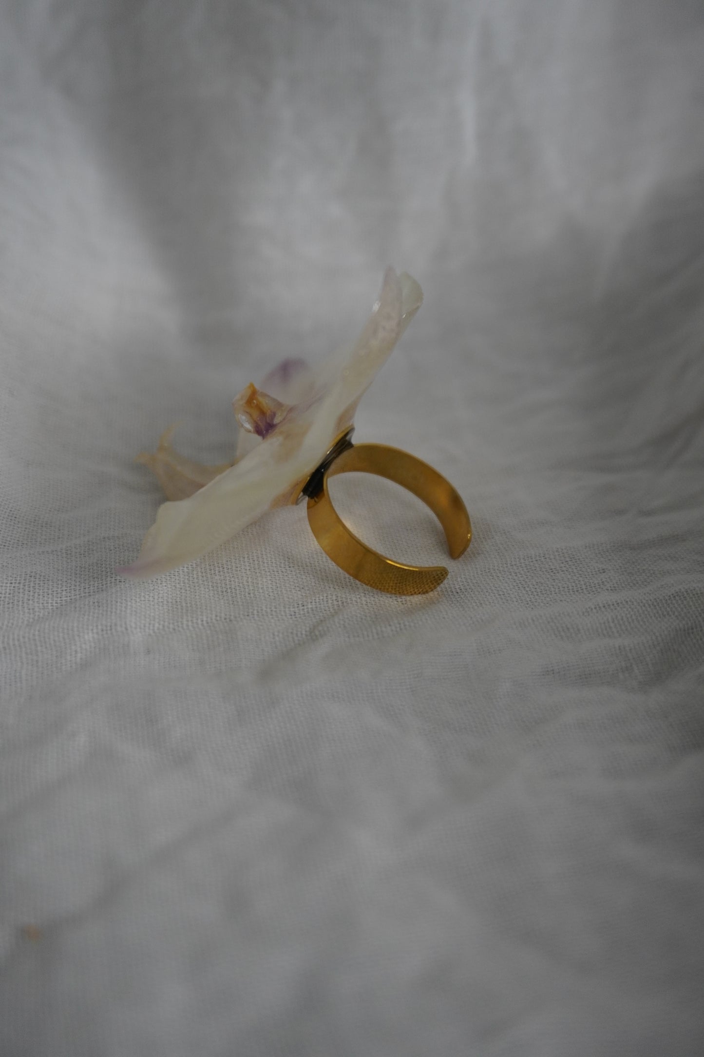 Bague pha