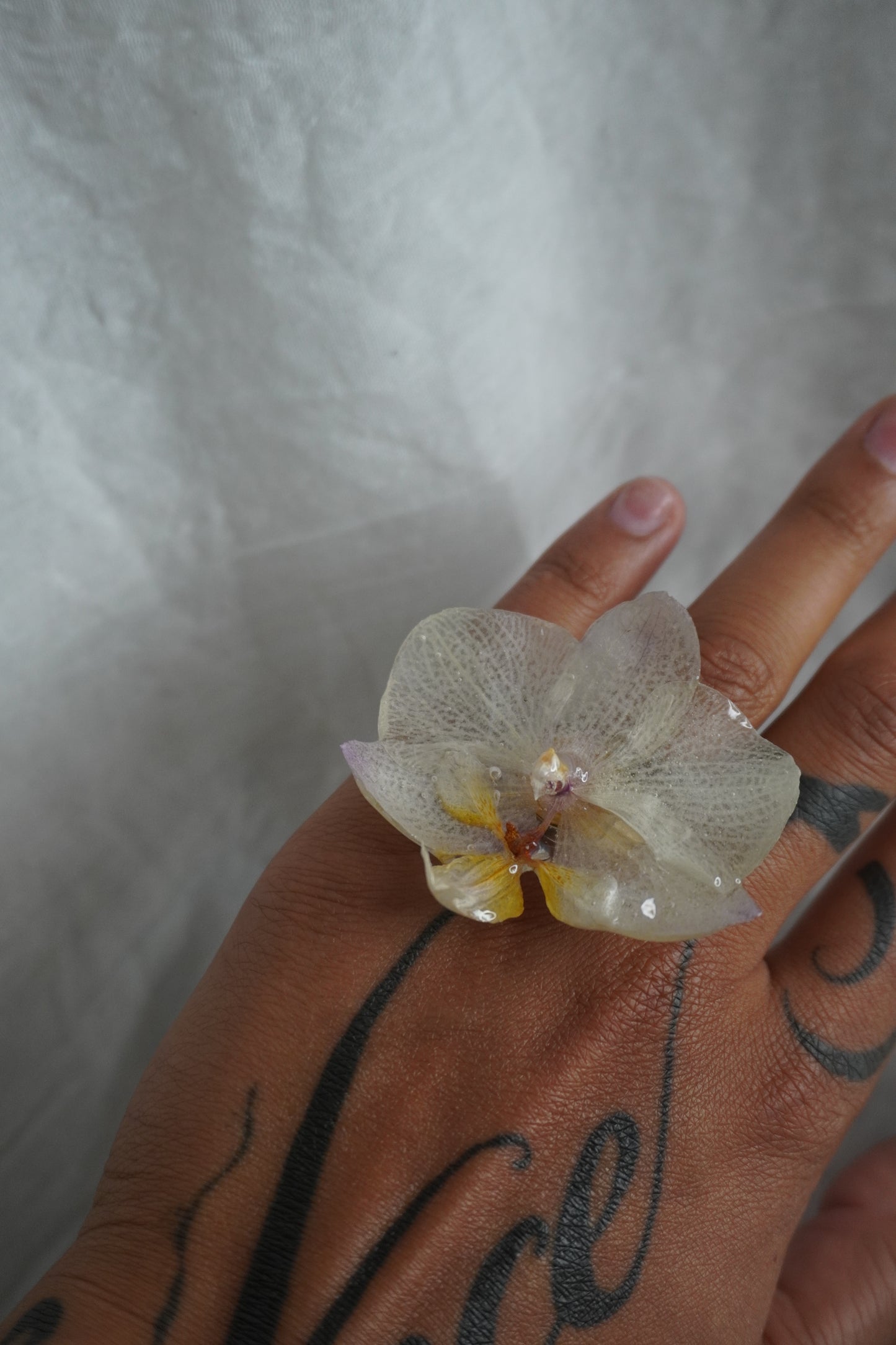 Bague pha